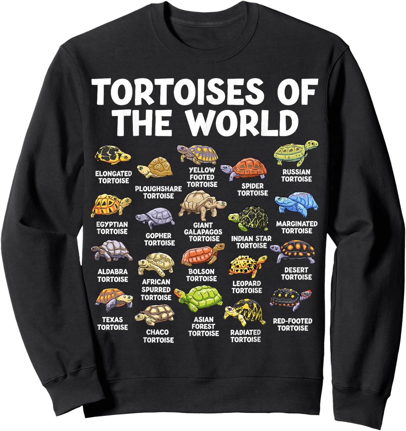 Tortoises of The World Kawaii Types of Turtles Funny Reptile Sweatshirt - Sweatshirt | Black