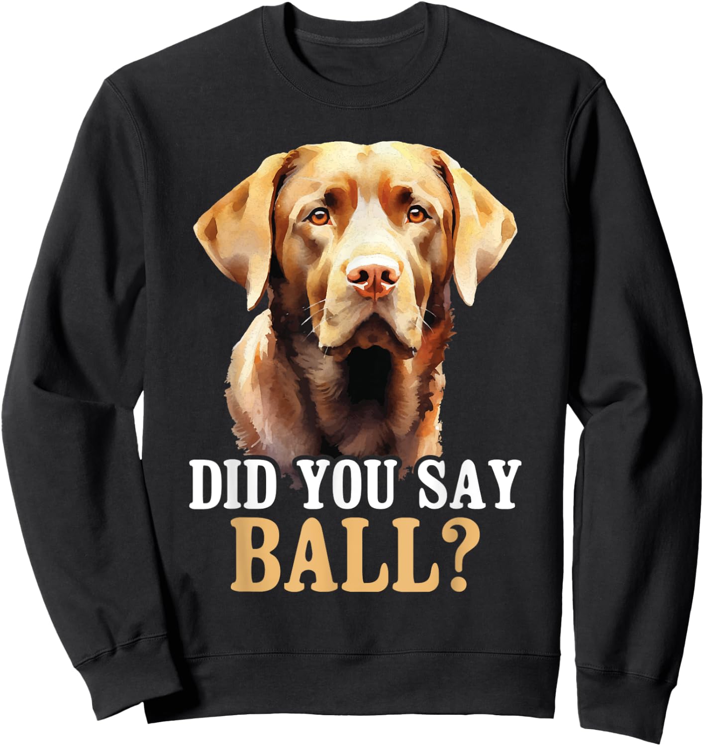 Did You Say Ball - Black Labrador Dog Breeder Animal Lover Men Women Girls Kids Sweatshirt - Sweatshirt | Black