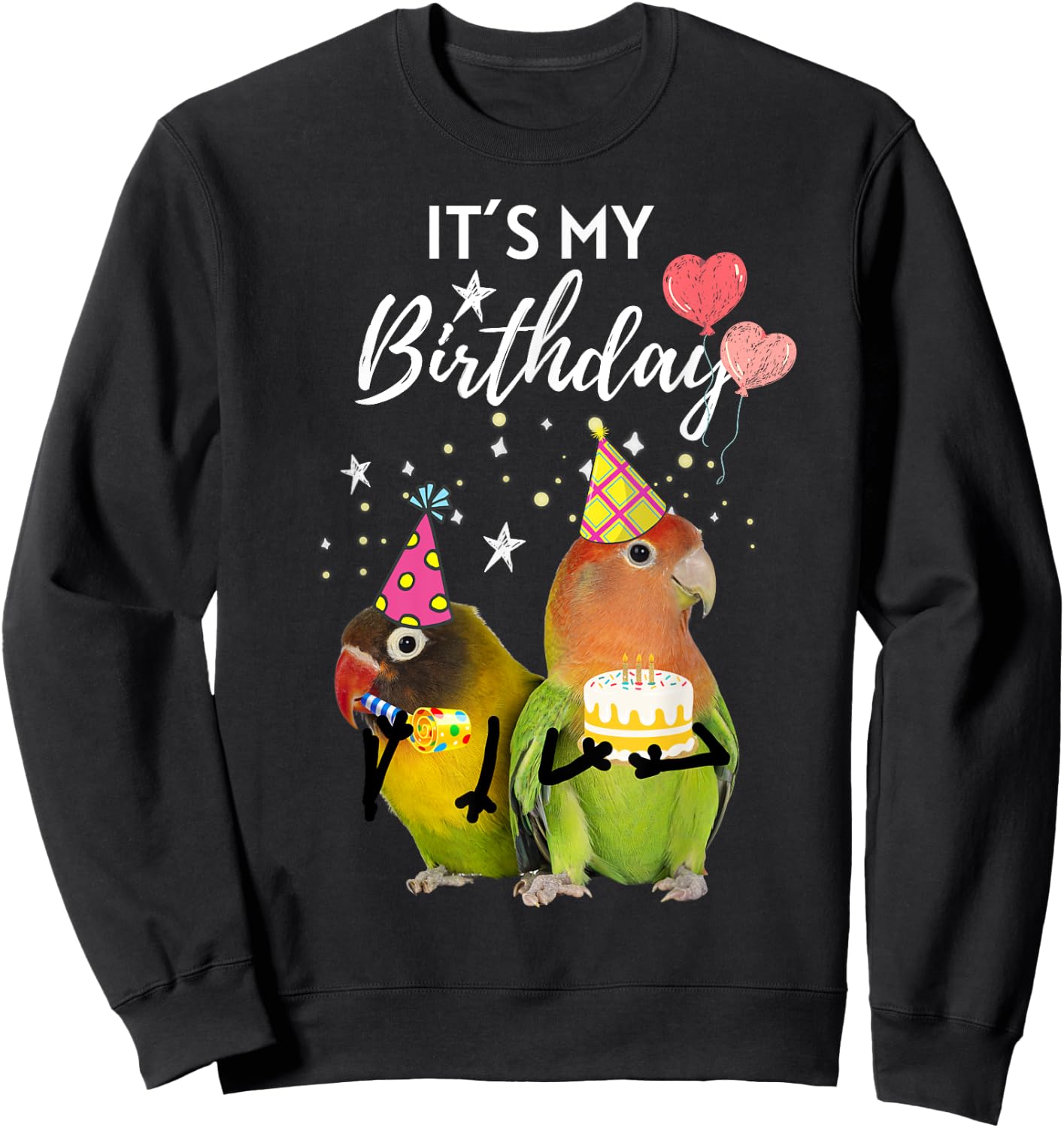 Funny Its My BirthdayParty Cake Birds Parrots Sweatshirt - Sweatshirt | Black
