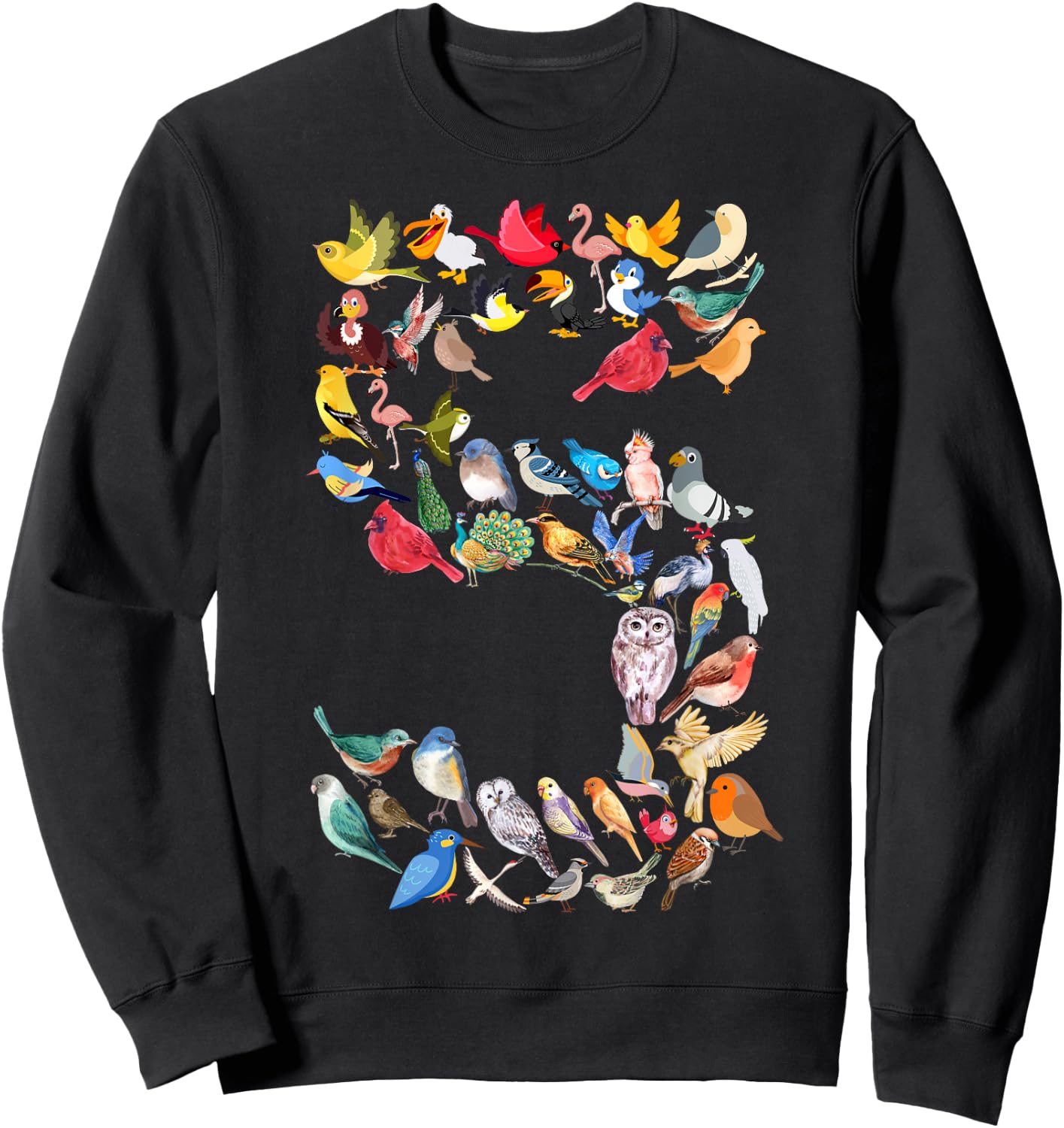 Kids 5th Birthday Birds Themed 5 Year Old Boys Bird Lover Sweatshirt - Sweatshirt | Black