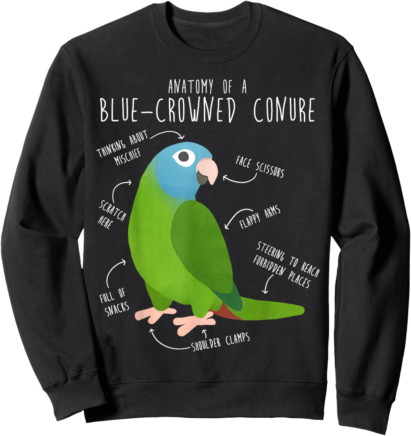 Blue-Crowned Conure Parrot Anatomy, Funny Cute Pet Bird Mom Sweatshirt - Sweatshirt | Black