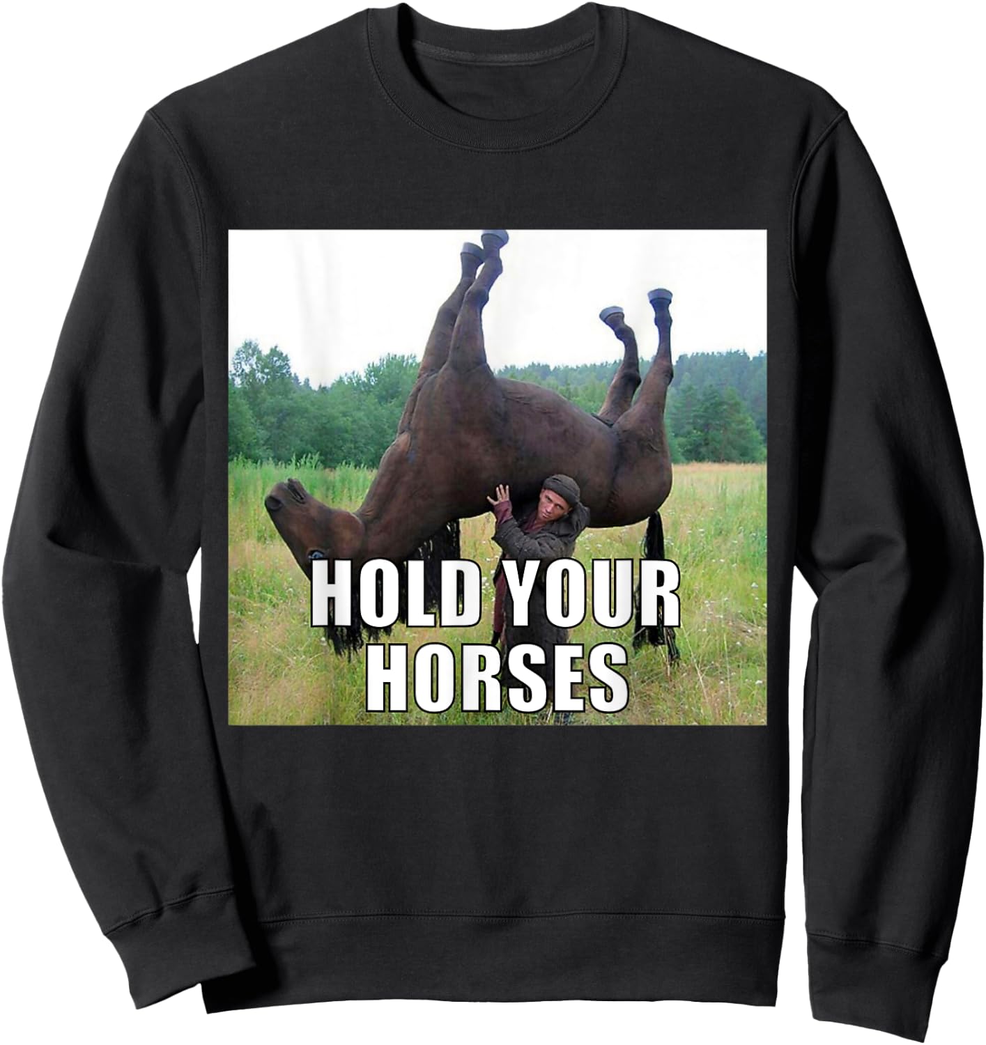 Hold Your Horses Funny Meme Sweatshirt - Sweatshirt | Black
