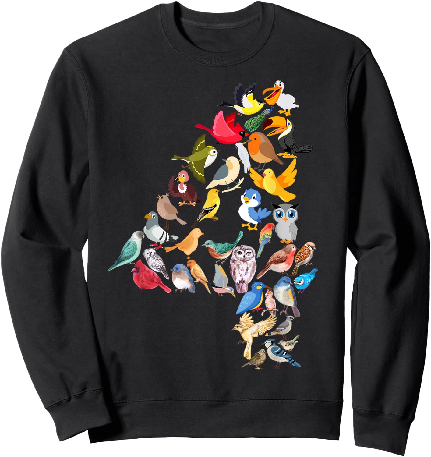 Kids 4th Birthday Birds Themed 4 Year Old Boys Bird Lover Sweatshirt - Sweatshirt | Black