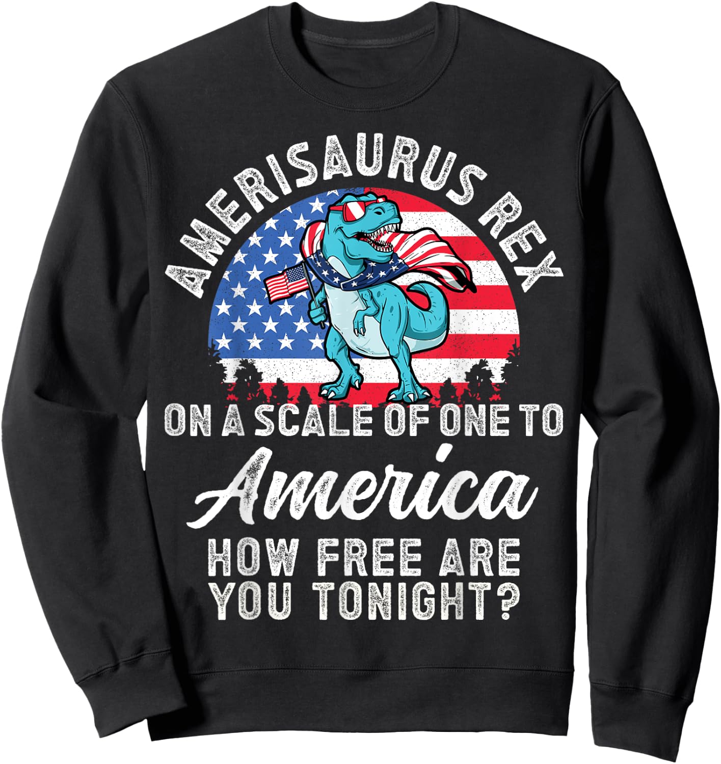 On a Scale of One To America How Free Are You Tonight T Rex Sweatshirt - Sweatshirt | Black