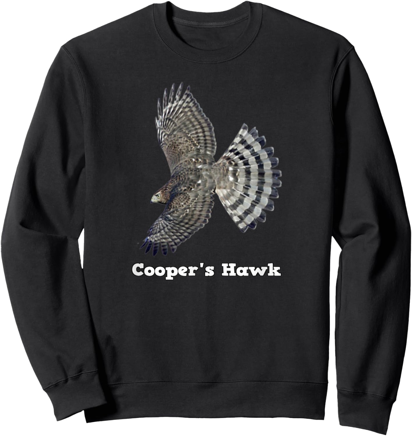 Cooper's Hawk Wildlife Sweatshirt - Sweatshirt | Black