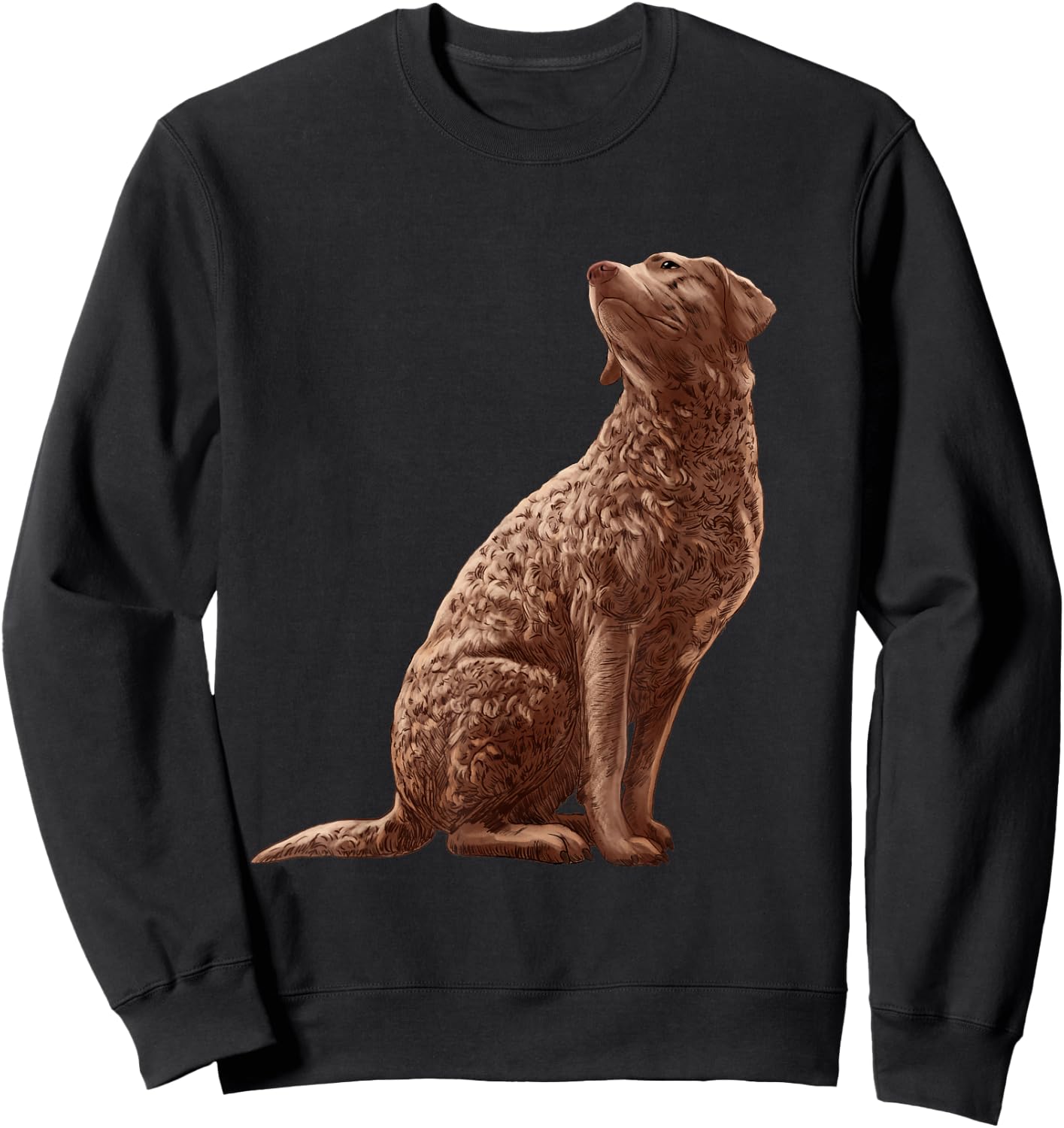 Sitting Dog Chesapeake Bay Retriever Sweatshirt - Sweatshirt | Black