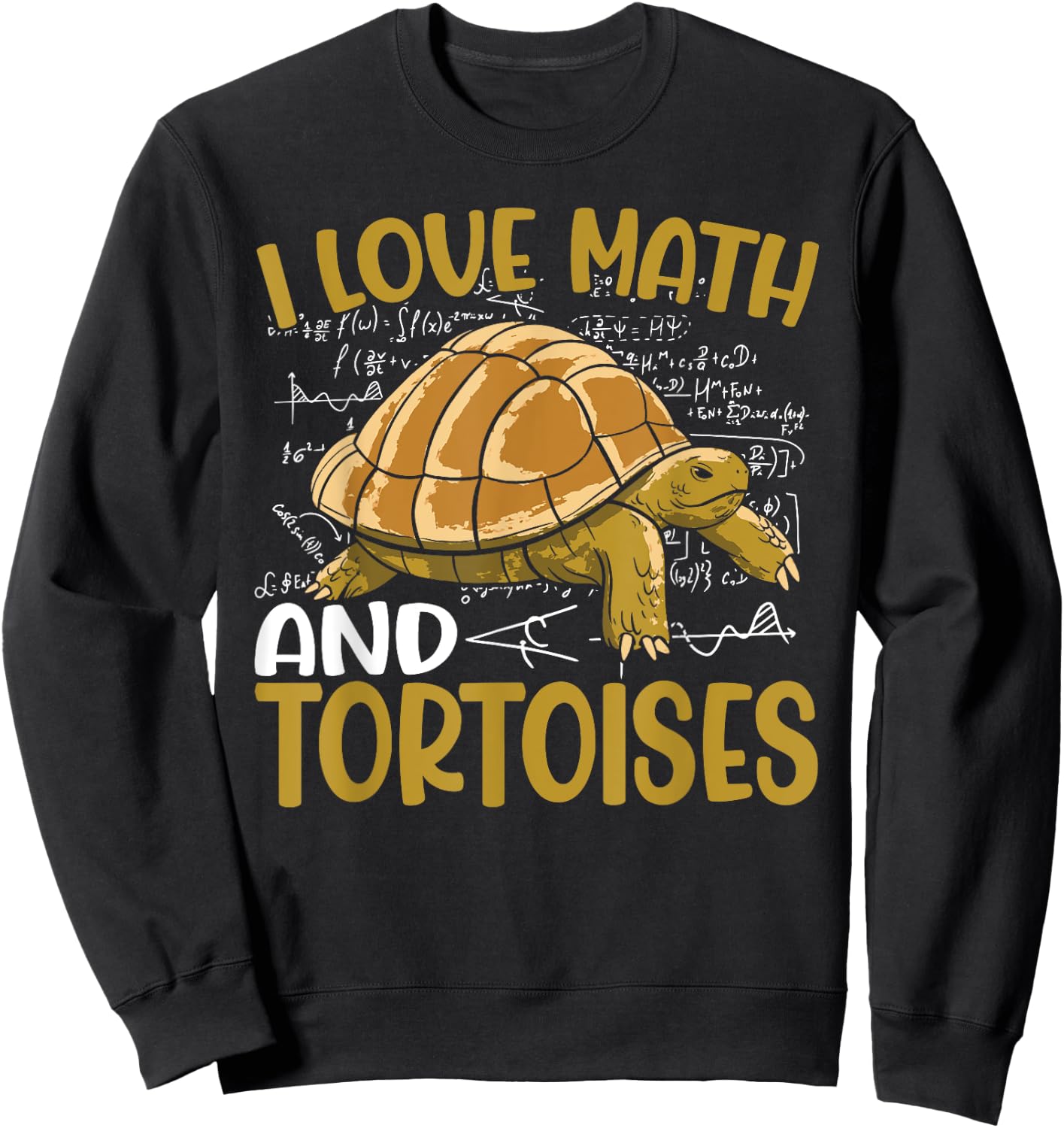 Funny I Love Math And Tortoises Turtle Kids School Sweatshirt - Sweatshirt | Black