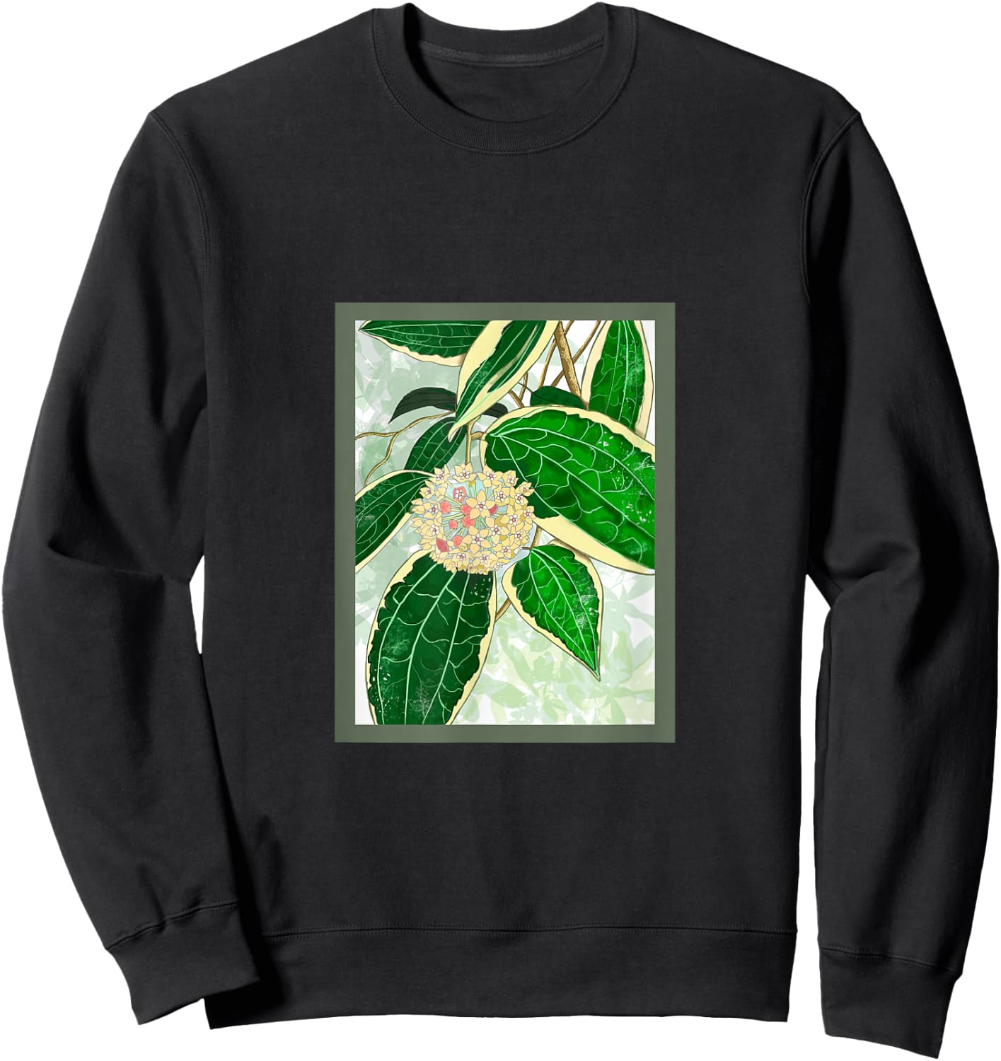 Hoya macrophylla 'Variegata' House Plant Art Sweatshirt - Sweatshirt | Black