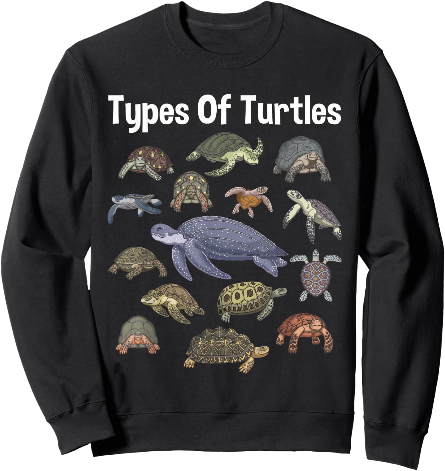 Types Of Turtles - Sea Ocean Animal Reptile Lover Zookeeper Sweatshirt - Sweatshirt | Black
