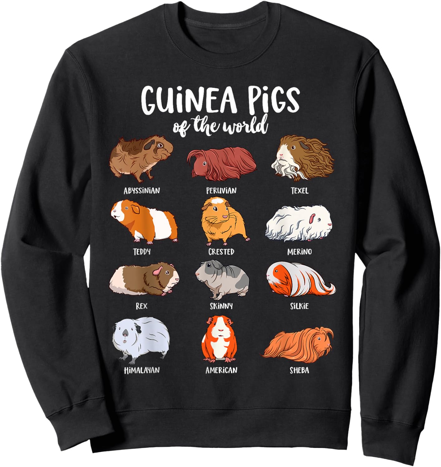 Cartoon guinea pigs - Types of Guinea pigs Sweatshirt - Sweatshirt | Black