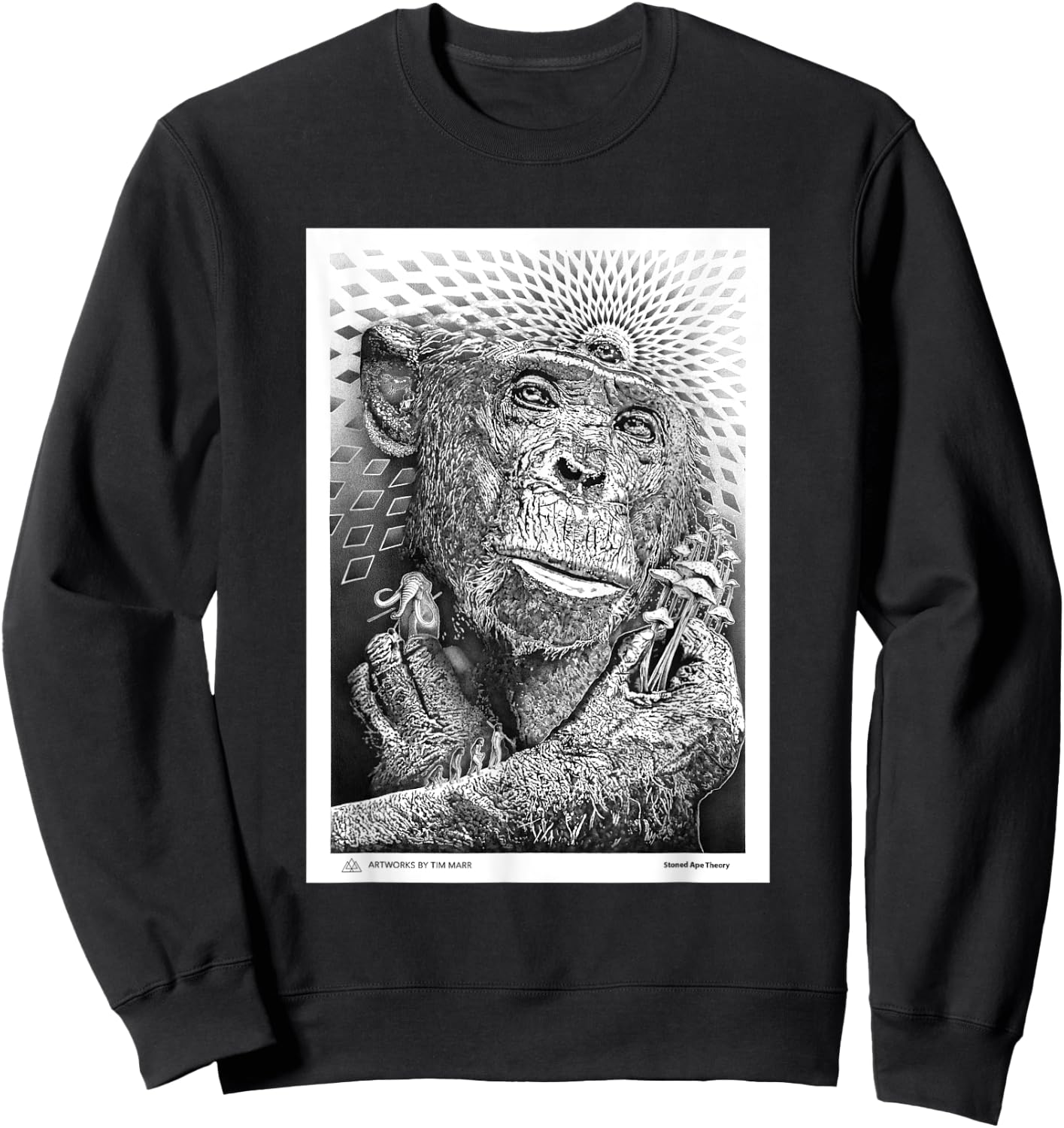 Stoned Ape Theory Sweatshirt - Sweatshirt | Black