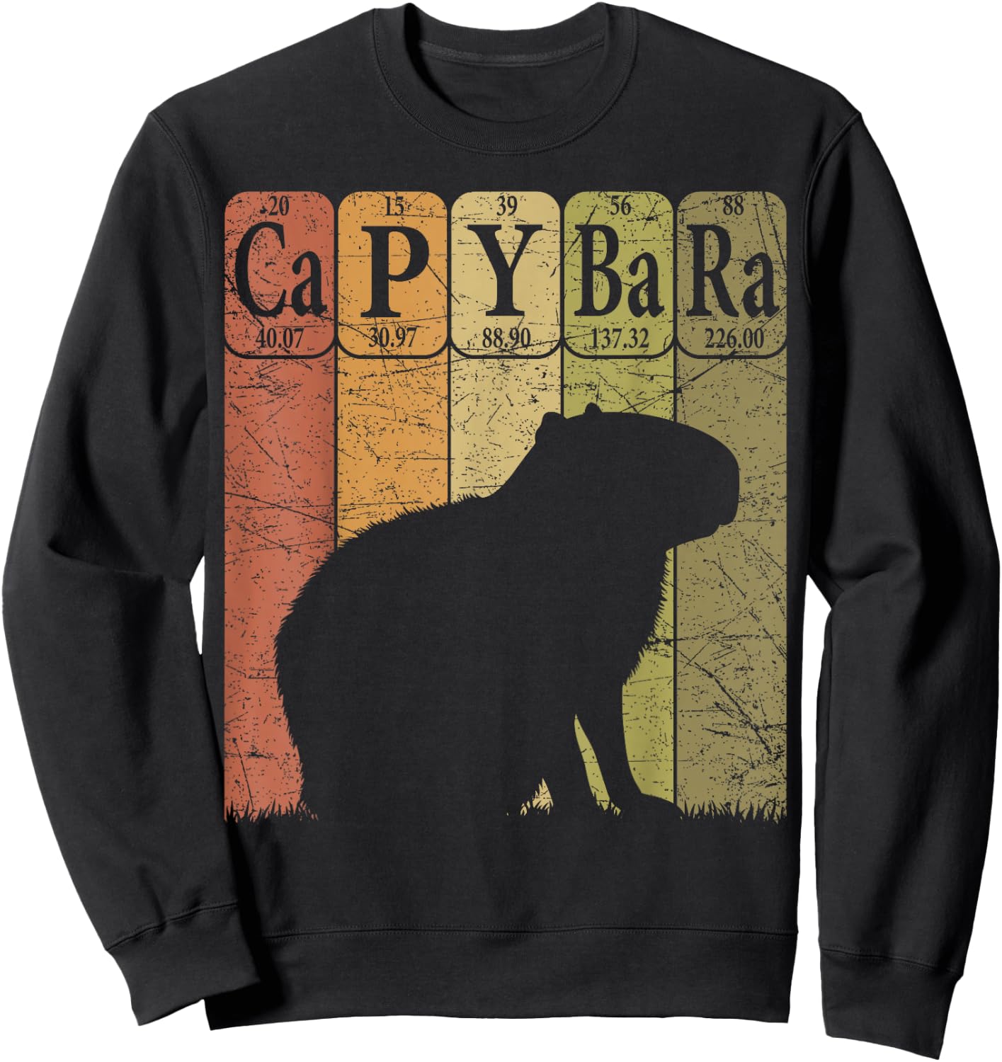 Capybara Periodic Table Elements Capybara Retro Rodent Sweatshirt - Sweatshirt | Black