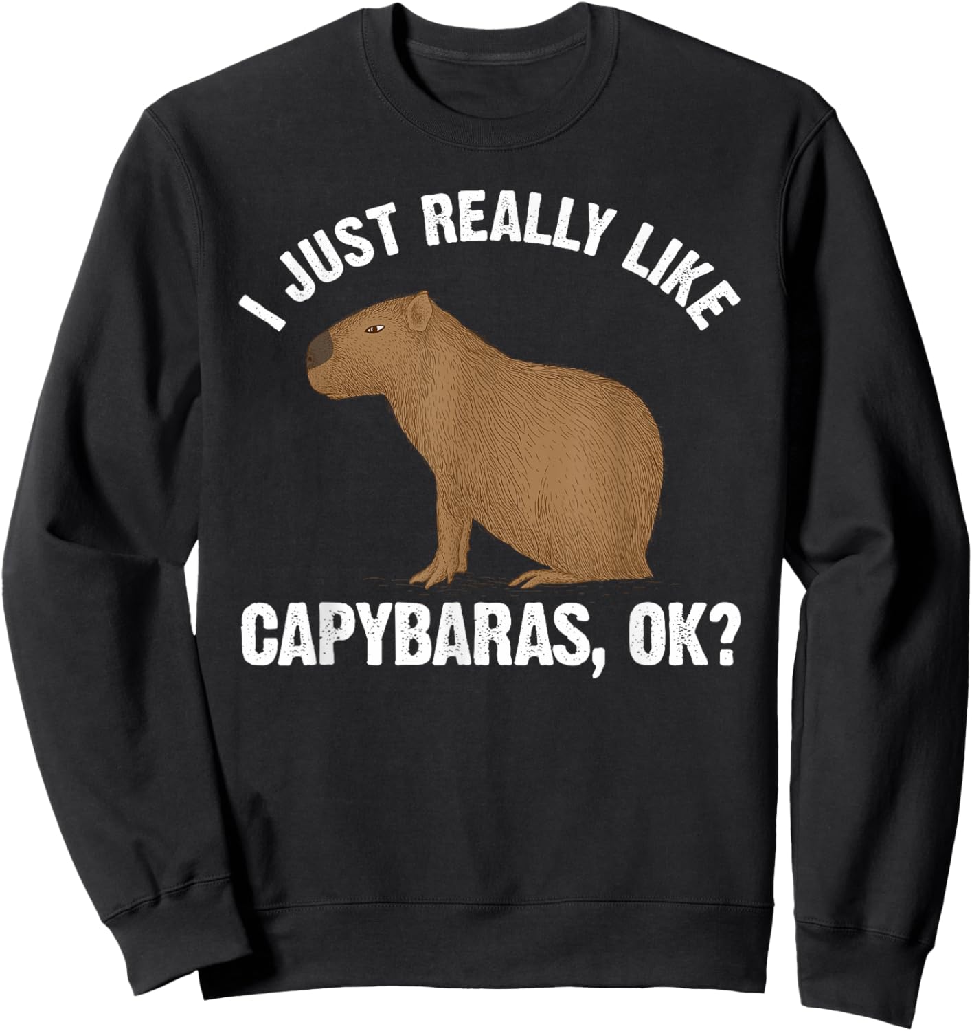 Funny Capybara Art Women Kids Rodent Capybara Lover Sweatshirt - Sweatshirt | Black