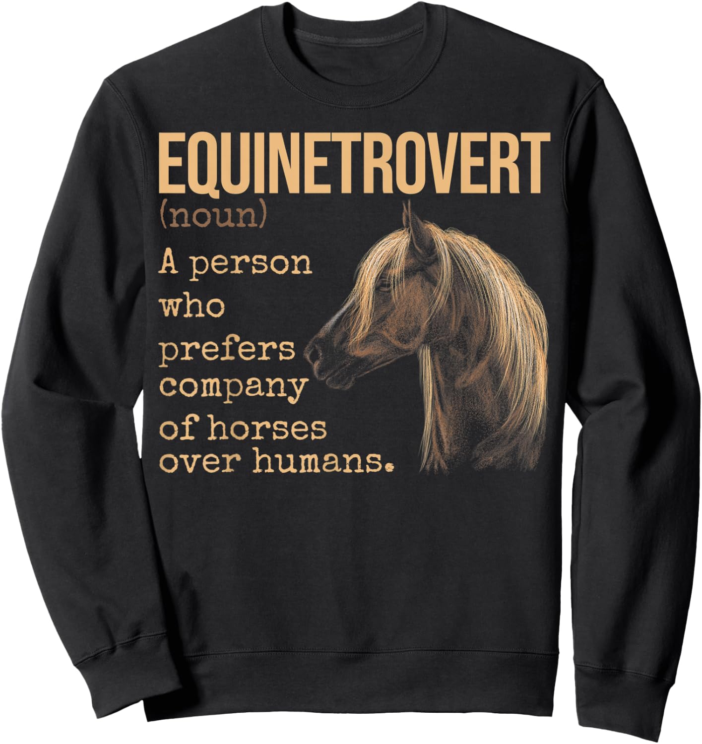 Equinetrovert Definition Equestrian Horse Lover Sweatshirt - Sweatshirt | Black