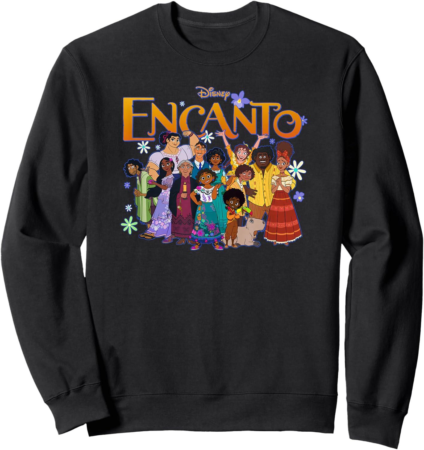 Disney Encanto Family Group Portrait Logo Sweatshirt - Sweatshirt | Black
