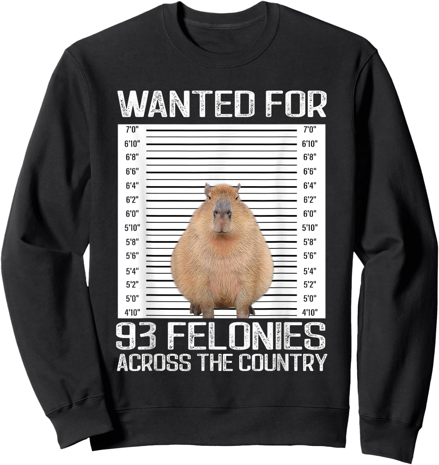 Capybara Mugshot Wanted For 93 Felonies Across The Country Sweatshirt - Sweatshirt | Black