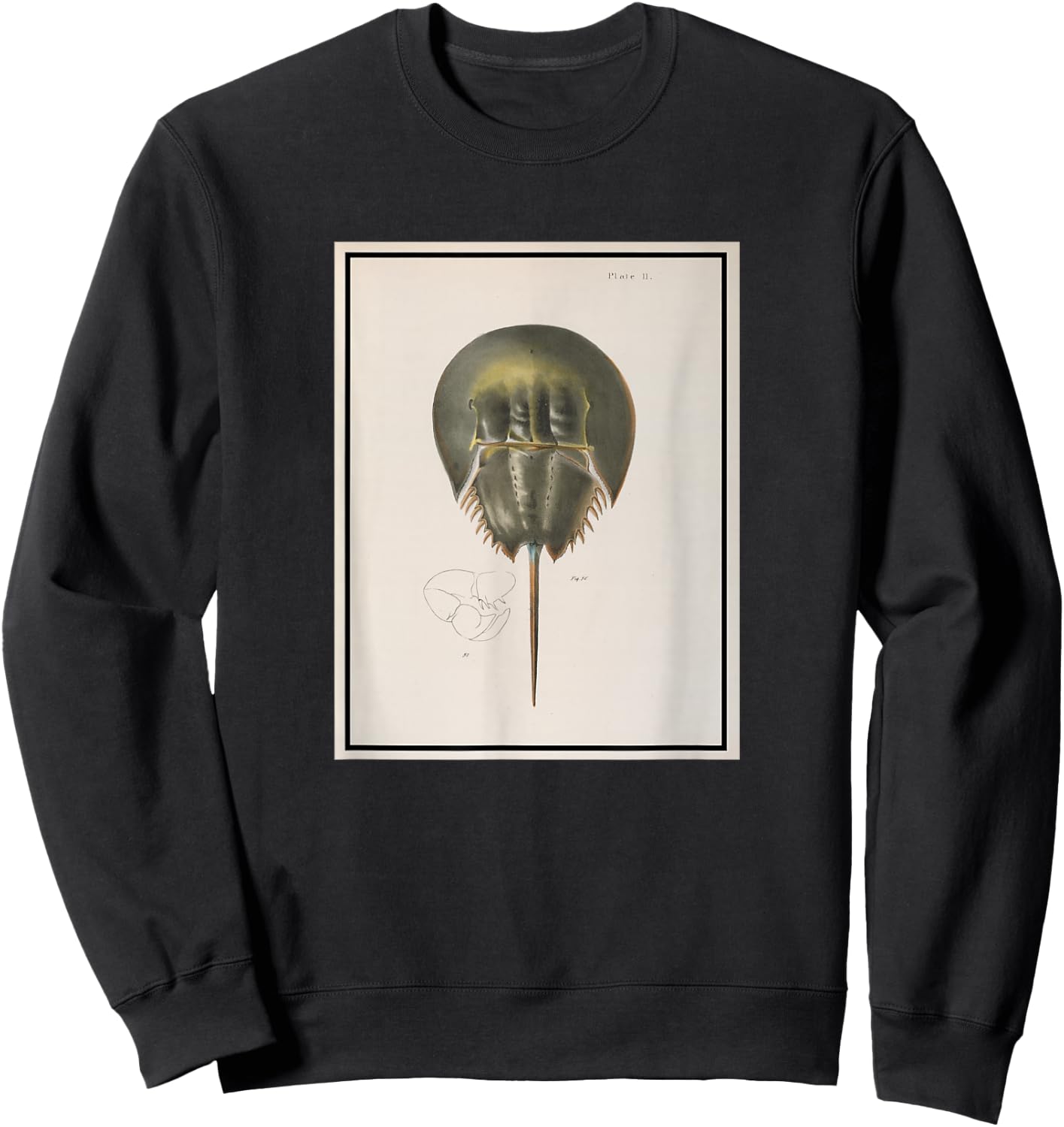 Vintage Horseshoe Crab Illustration (1844) Sweatshirt - Sweatshirt | Black