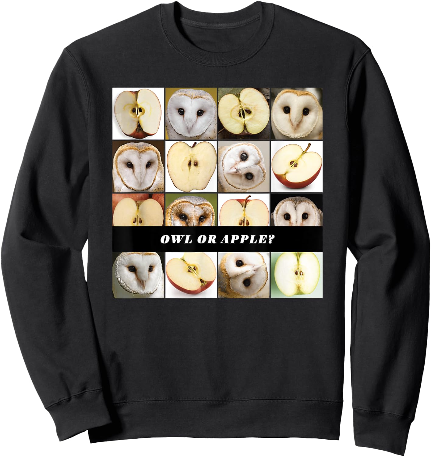 Barn Owl or Apple? AI Machine Learning Food or Object Meme Sweatshirt - Sweatshirt | Black