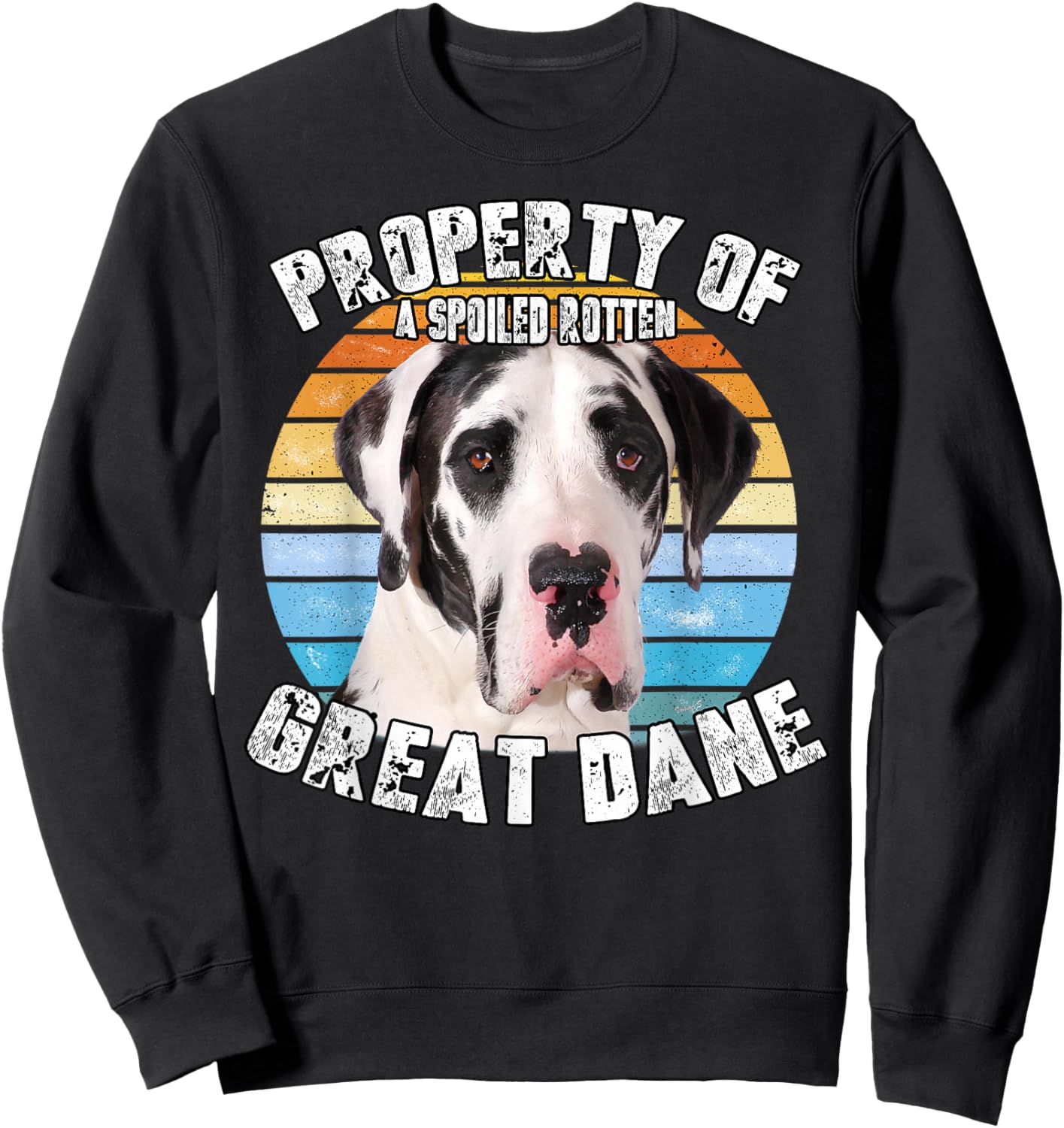 Great Dane Harlequin Vintage Retro Property Of Sweatshirt - Sweatshirt | Black
