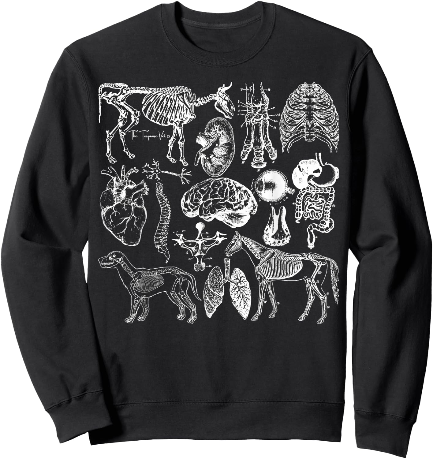 Veterinary Anatomy Animal Design Sweatshirt - Sweatshirt | Black