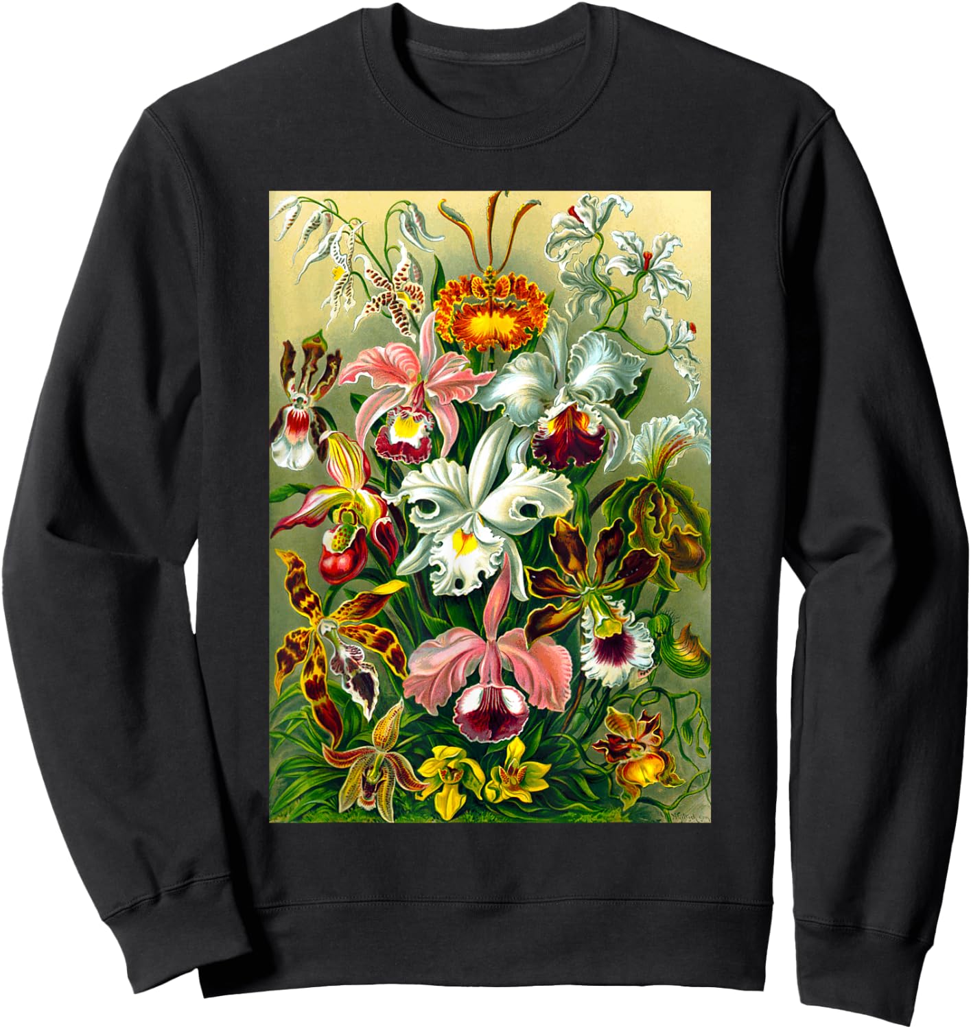 Ernst Haeckel Vintage Biological Botanical Orchid Art Sweatshirt - Sweatshirt | Black