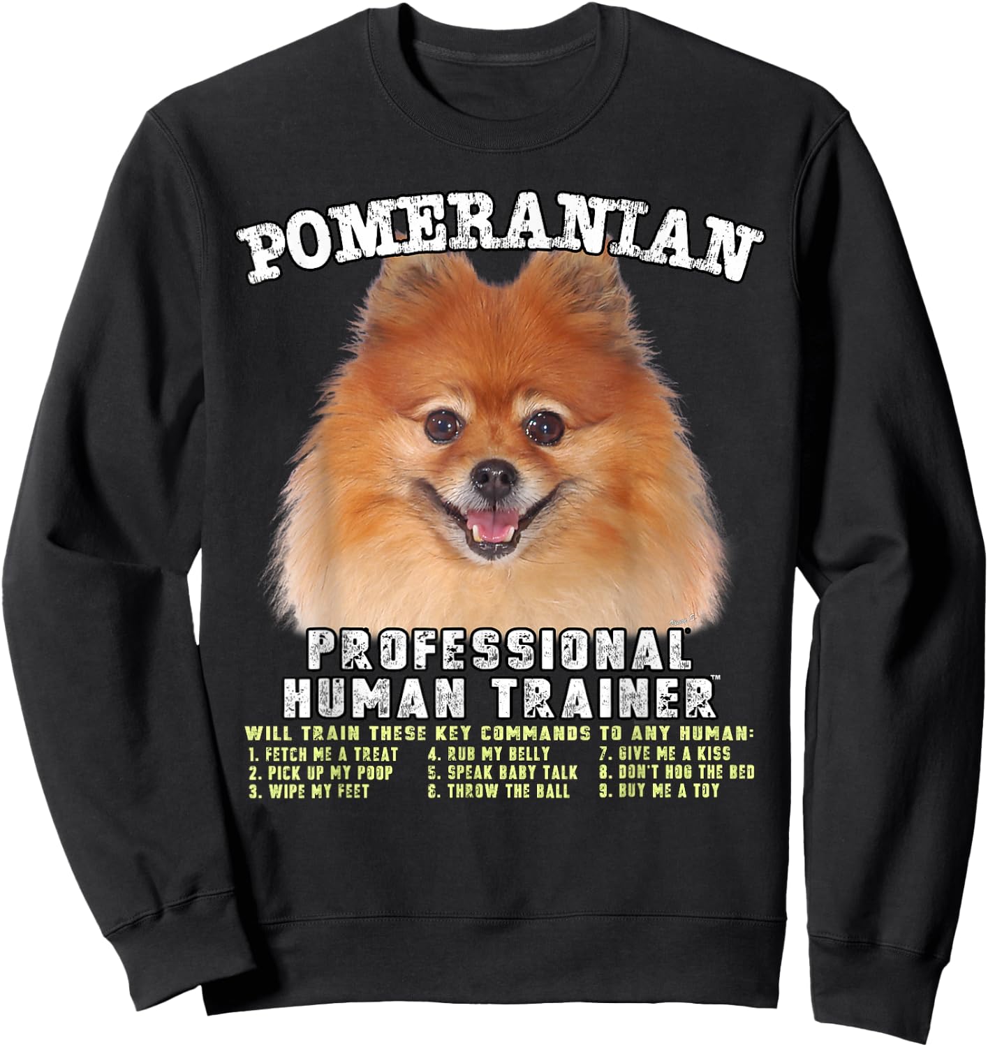 Kitana Pomeranian Dog Themed , -Adults, Kids, Black, Small, Short Sleeve Sweatshirt - Sweatshirt | Black