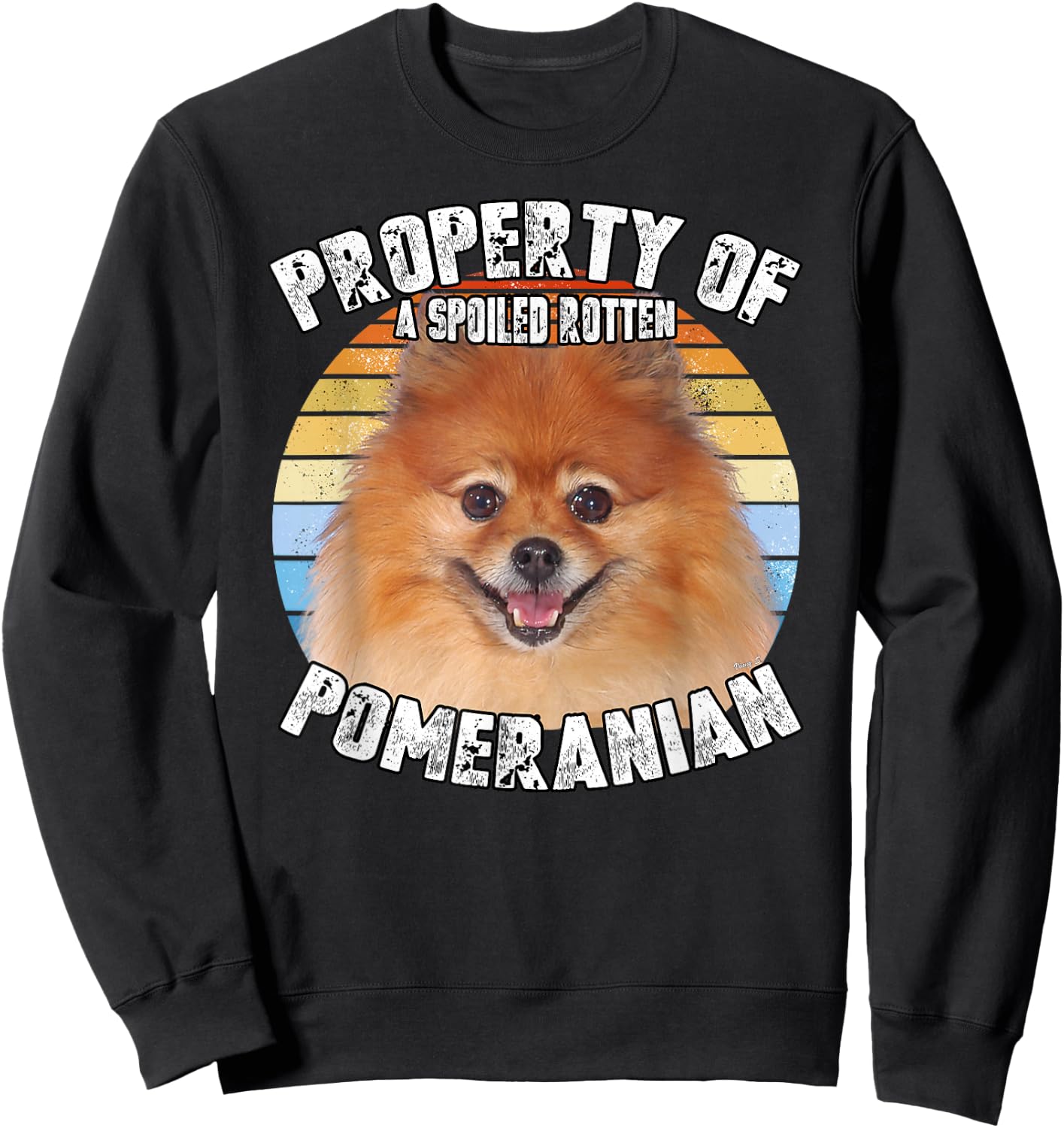 Pomeranian Property Of Retro Sweatshirt - Sweatshirt | Black