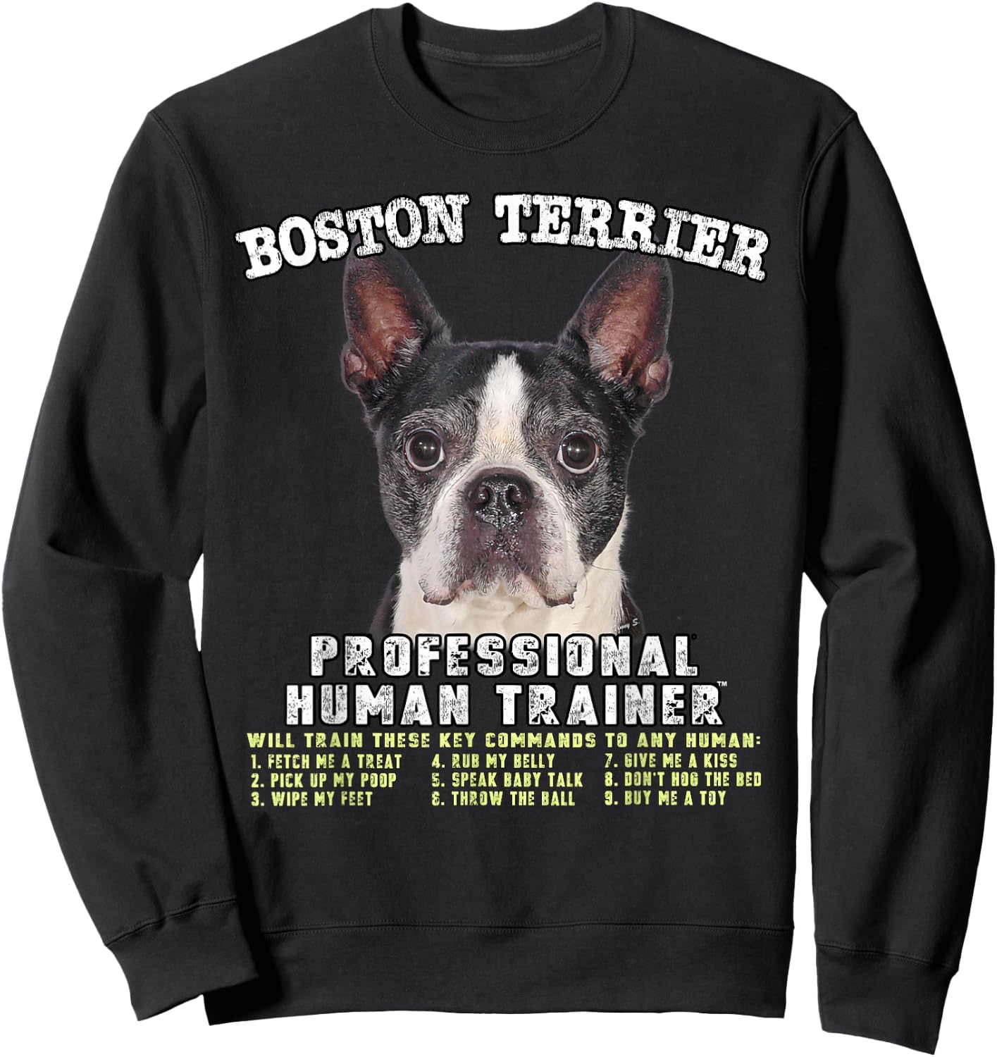 Boston Terrier Black Dog Professional Human Trainer Sweatshirt - Sweatshirt | Black
