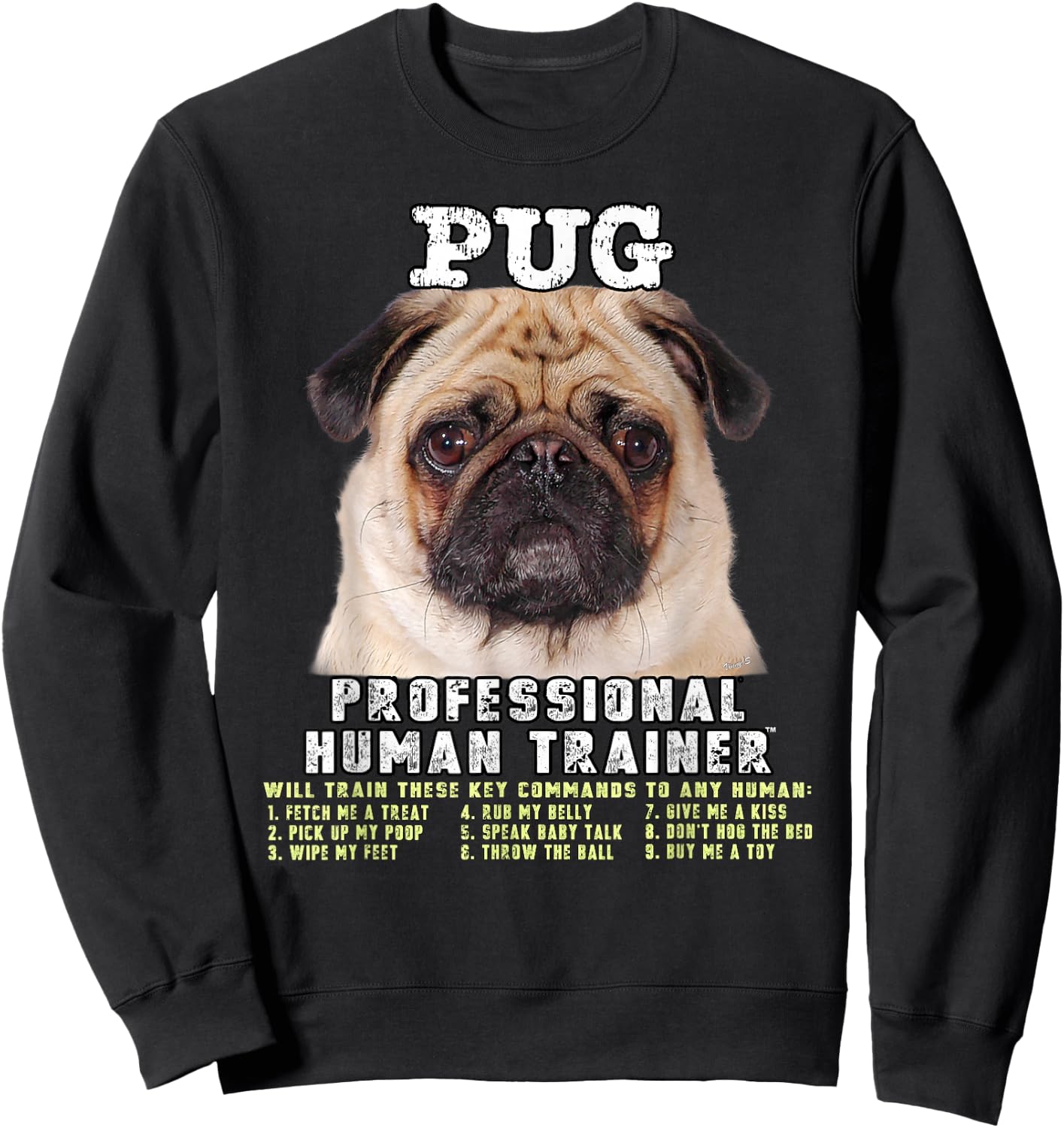 Pug Lover Owner Professional Human Trainer Gift Sweatshirt - Sweatshirt | Black