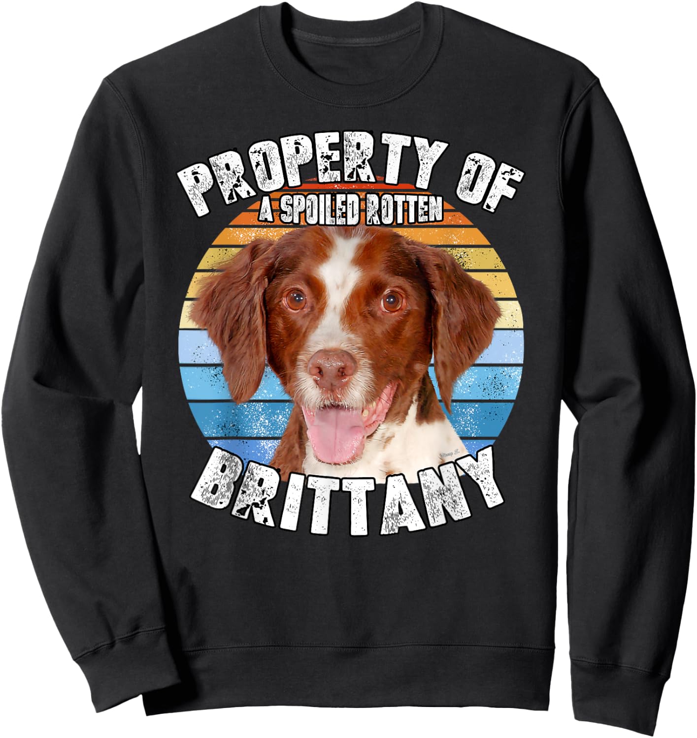 Brittany Spaniel Property Of Sweatshirt - Sweatshirt | Black