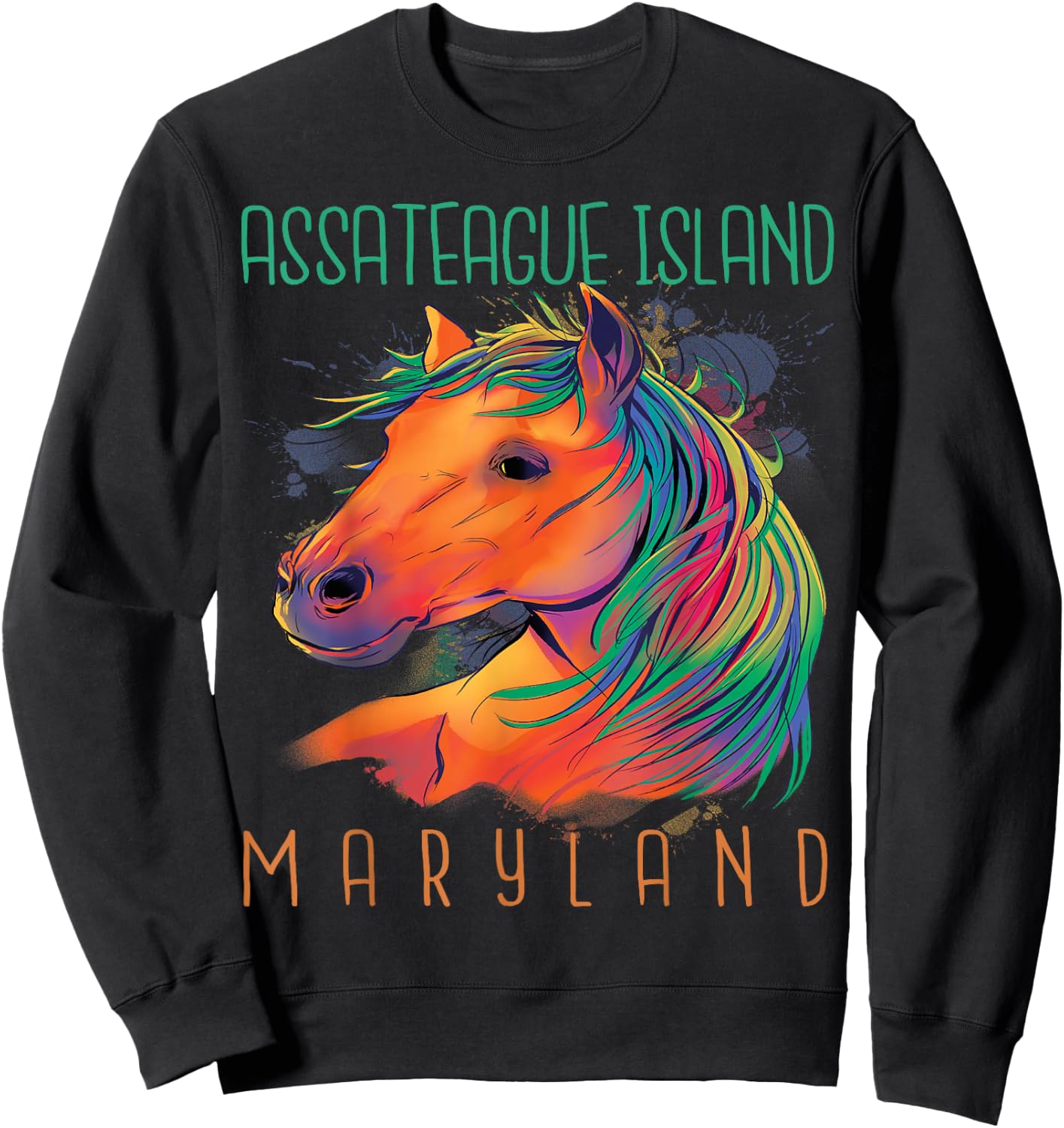 Colorful Horse Assateague Island Maryland Riding Souvenir Sweatshirt - Sweatshirt | Black