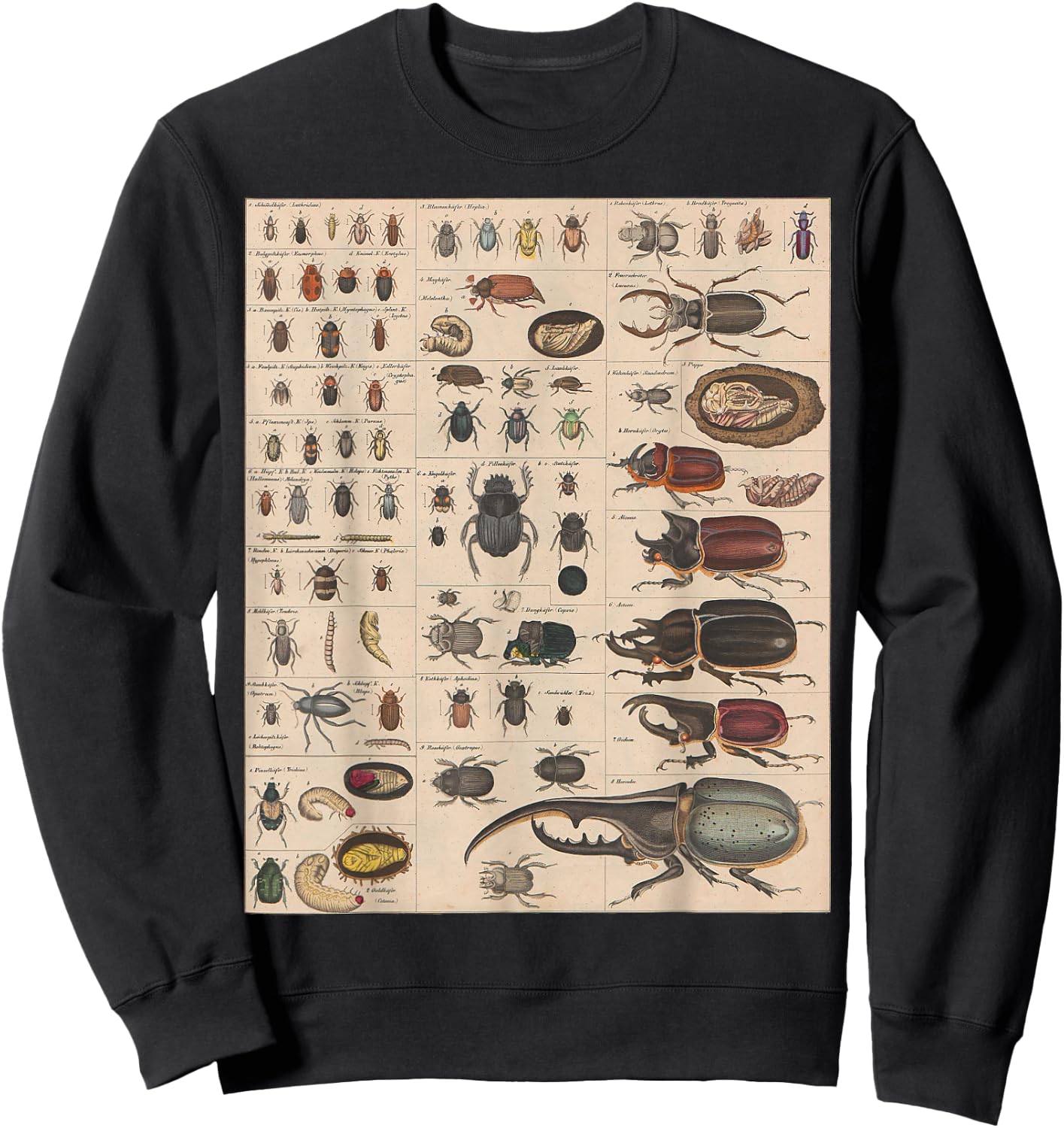 Insects Collection Species Bugs vintage Chart Entomology Sweatshirt - Sweatshirt | Black