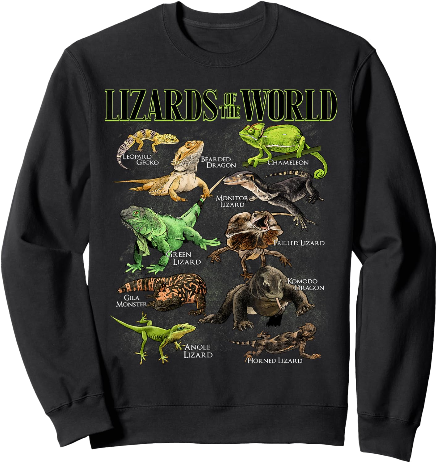 Lizard Animals of the World Educational Reptile Lizard Lover Sweatshirt - Sweatshirt | Black