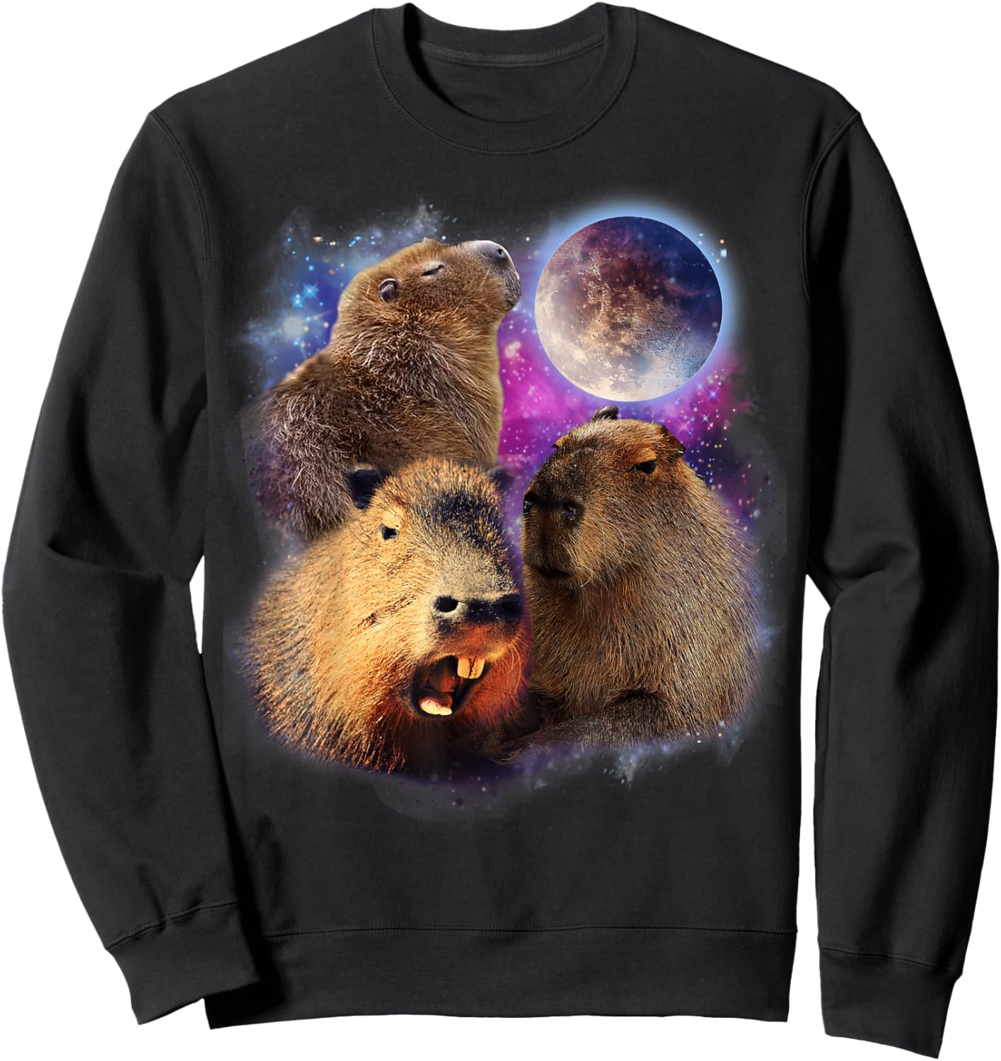 3 Capybara Moon Capybara Stuffed Animal , Women, Kids Sweatshirt - Sweatshirt | Black