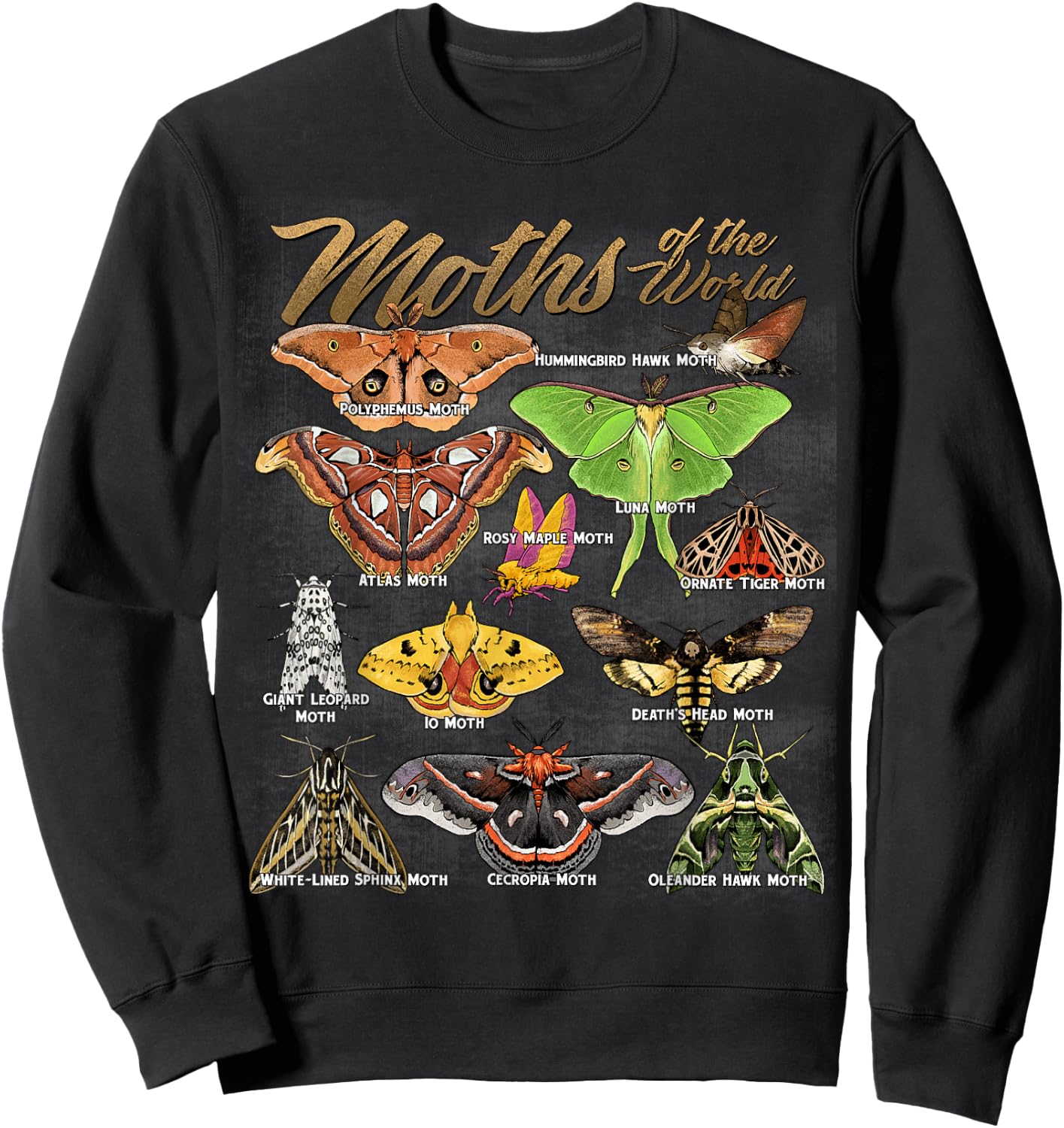 Moths Animals of The World Educational Insect Moth Lover Sweatshirt - Sweatshirt | Black