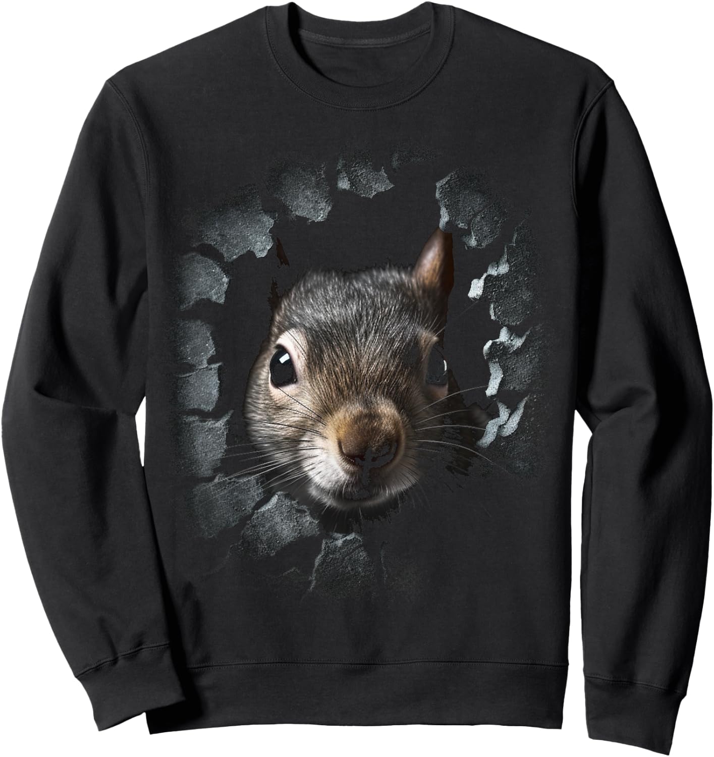 Squirrel Art - Wall Animal Squirrel Sweatshirt - Sweatshirt | Black