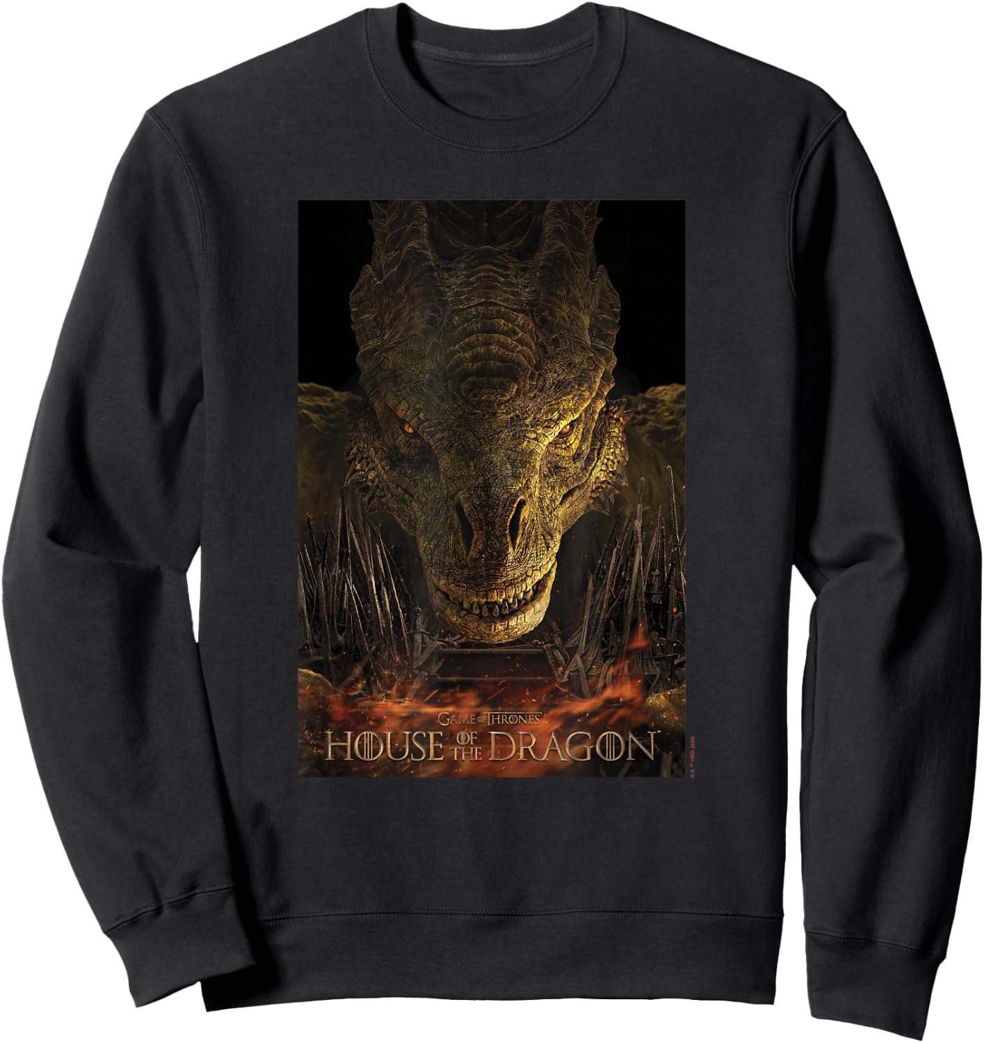 House of the Dragon Syrax Fire And Blood Poster Sweatshirt - Sweatshirt | Black