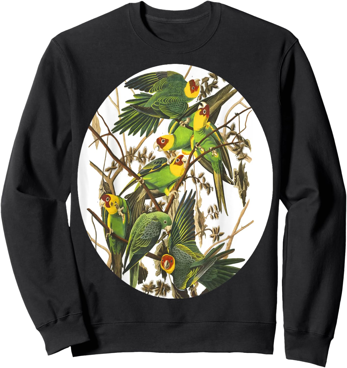 Birds Of North America Sweatshirt - Sweatshirt | Black