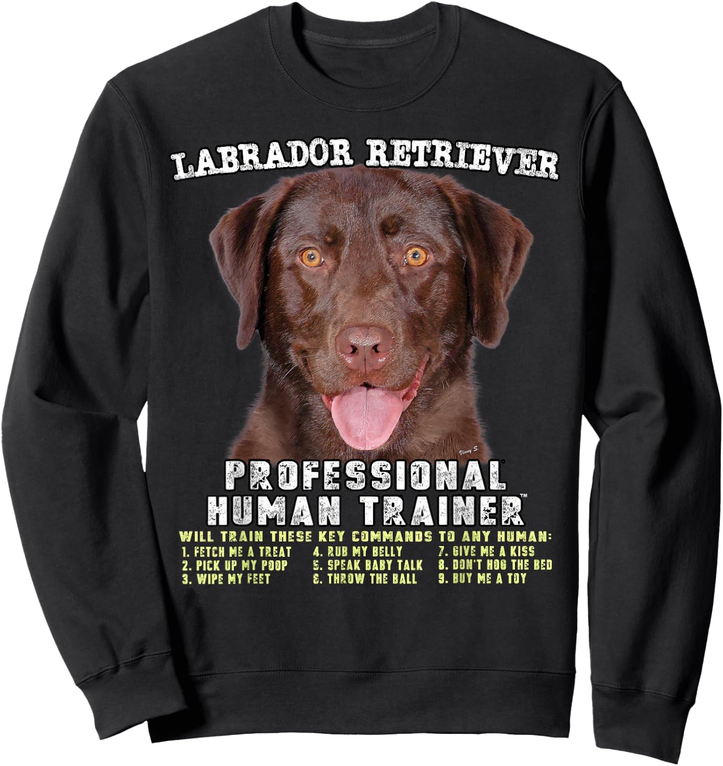 Labrador Retriever Chocolate Lab Professional Human Trainer Sweatshirt - Sweatshirt | Black