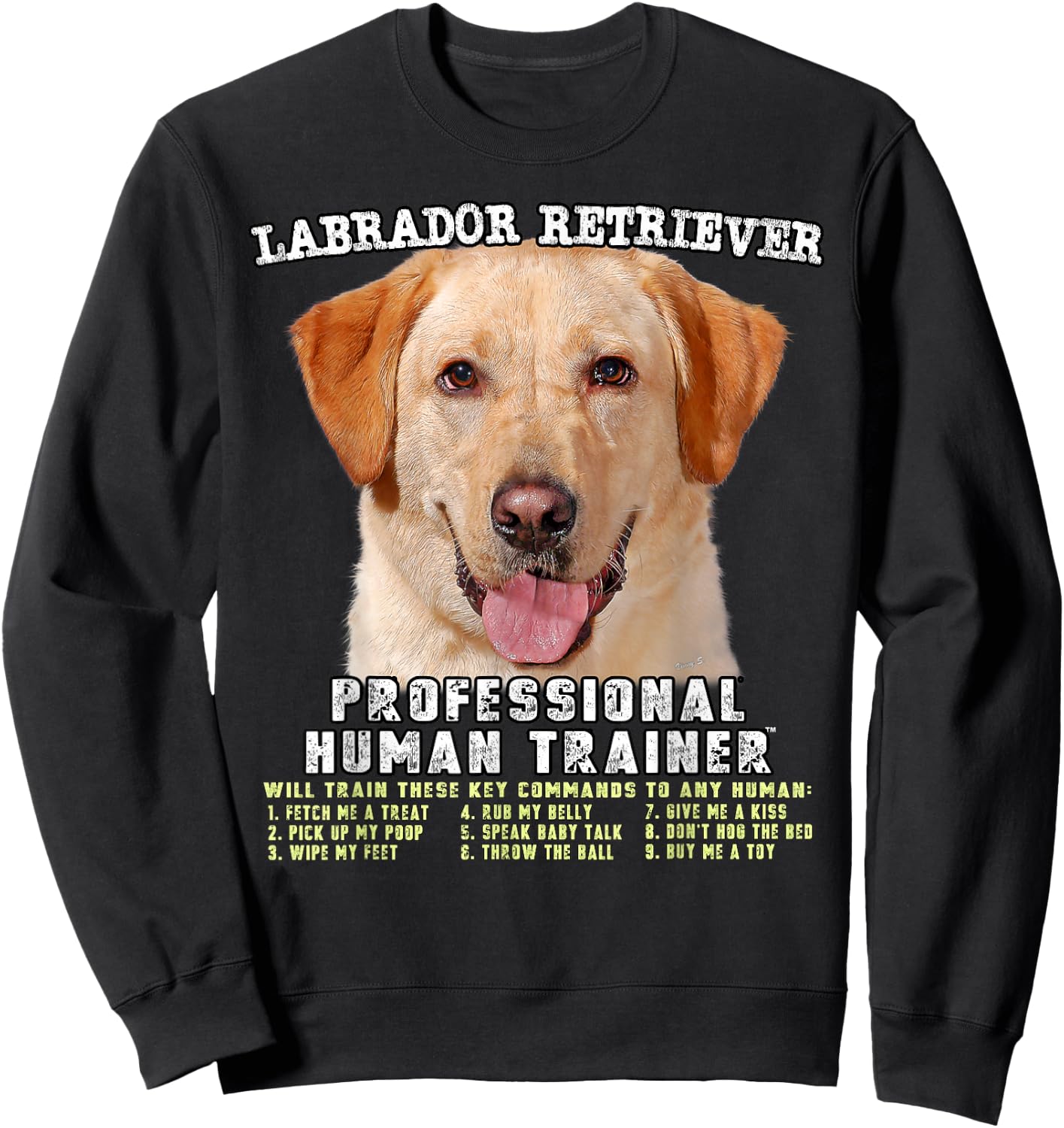 Labrador Retriever Yellow Lab Professional Human Trainer Sweatshirt - Sweatshirt | Black