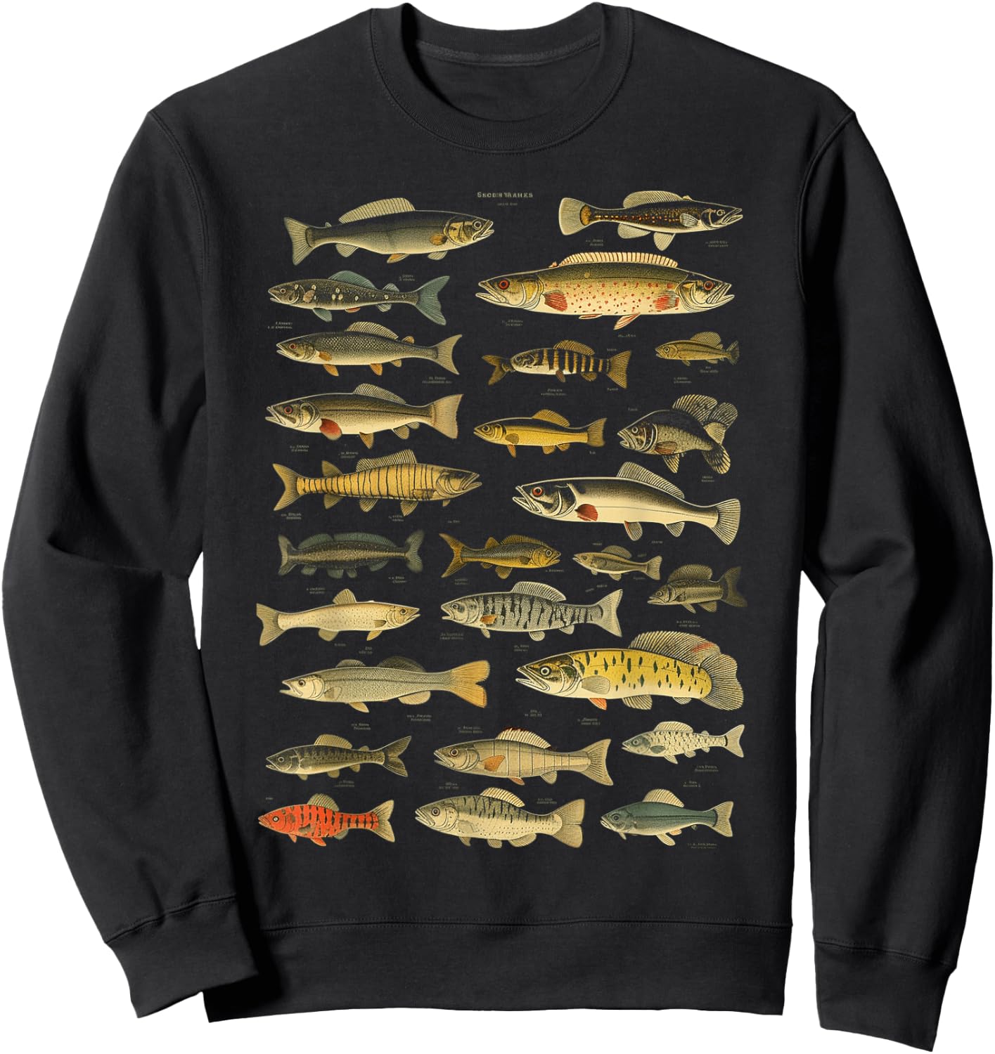Types Of Freshwater Fish Species Fishing Graphic Sweatshirt - Sweatshirt | Black