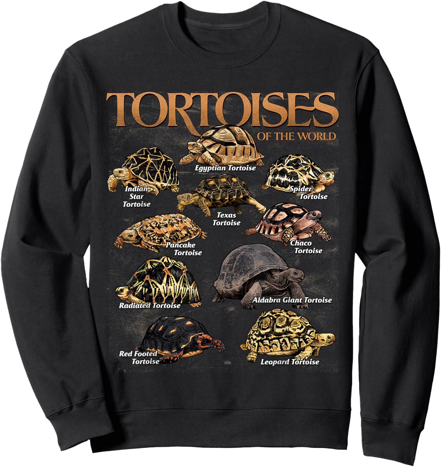 Tortoises Animals of The World Educational Sea Turtle Lover Sweatshirt - Sweatshirt | Black