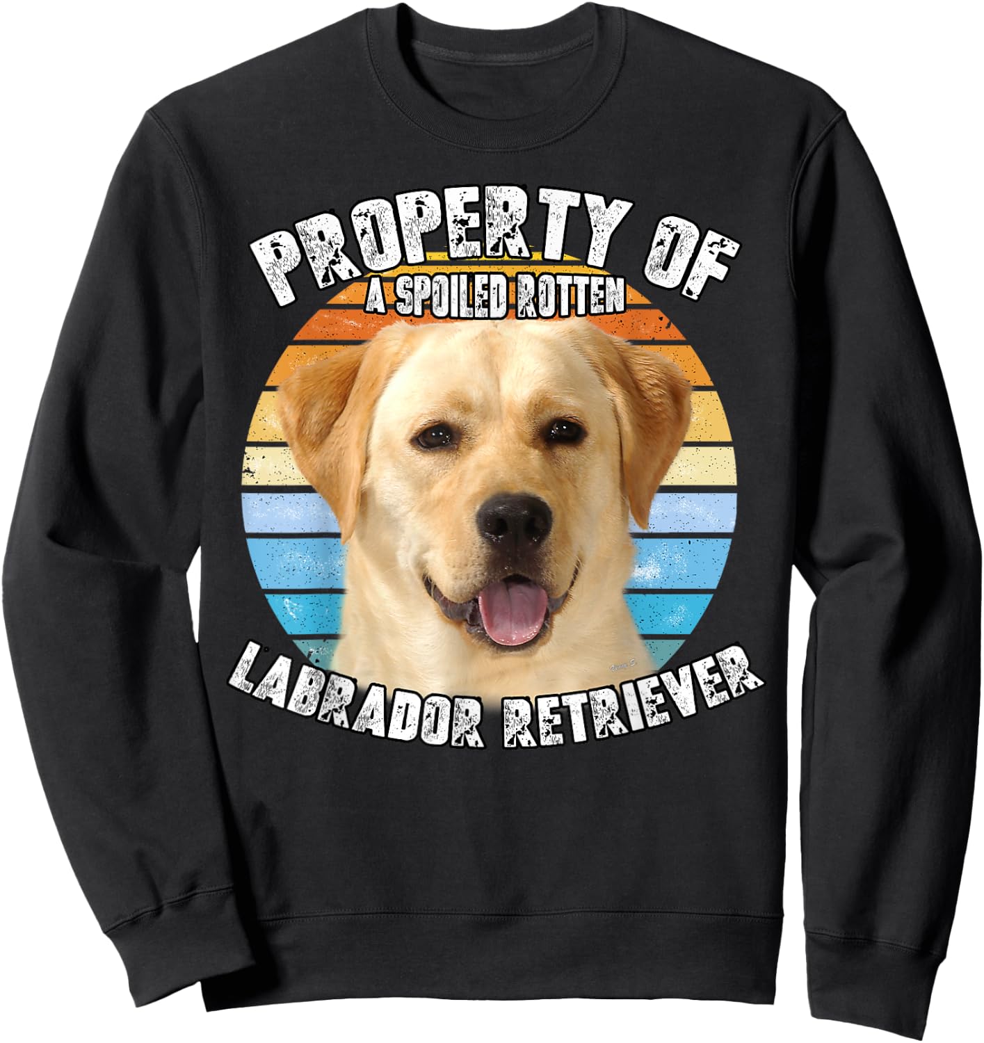 Labrador Retriever Yellow Owner Lover Retro Vintage Sweatshirt - Sweatshirt | Black