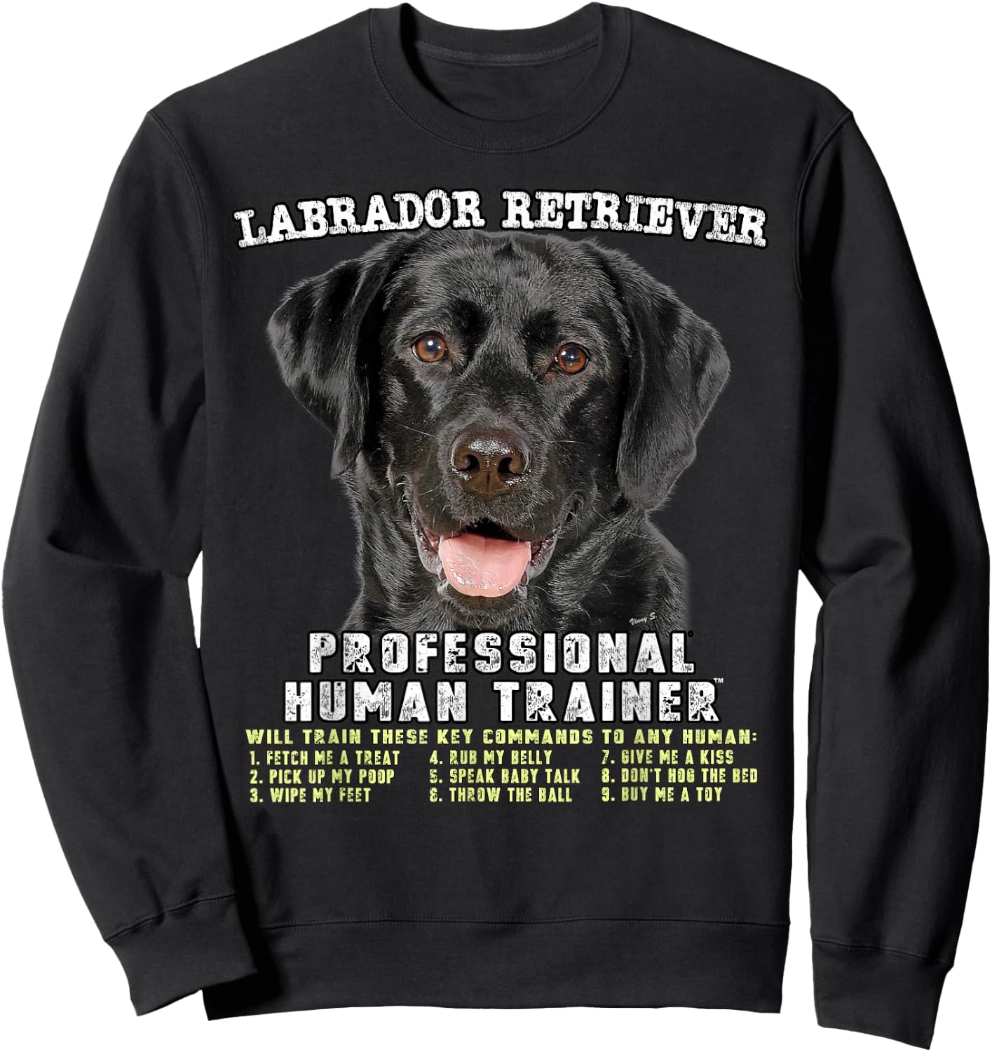 Labrador Retriever Black Lab Professional Human Trainer Sweatshirt - Sweatshirt | Black