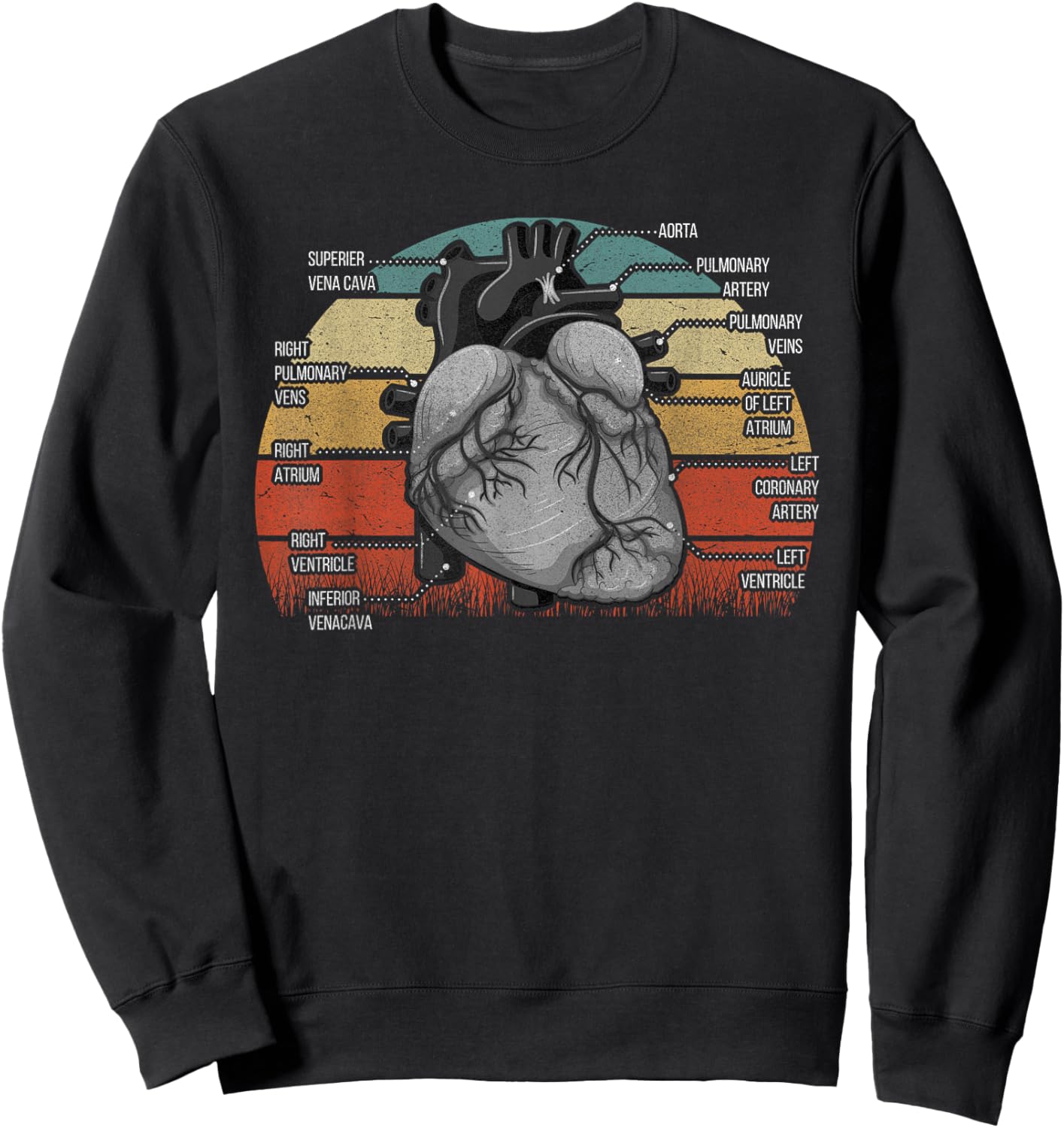 Parts Of Heart Cardiology Men Women Anatomical Cardiac Sweatshirt - Sweatshirt | Black