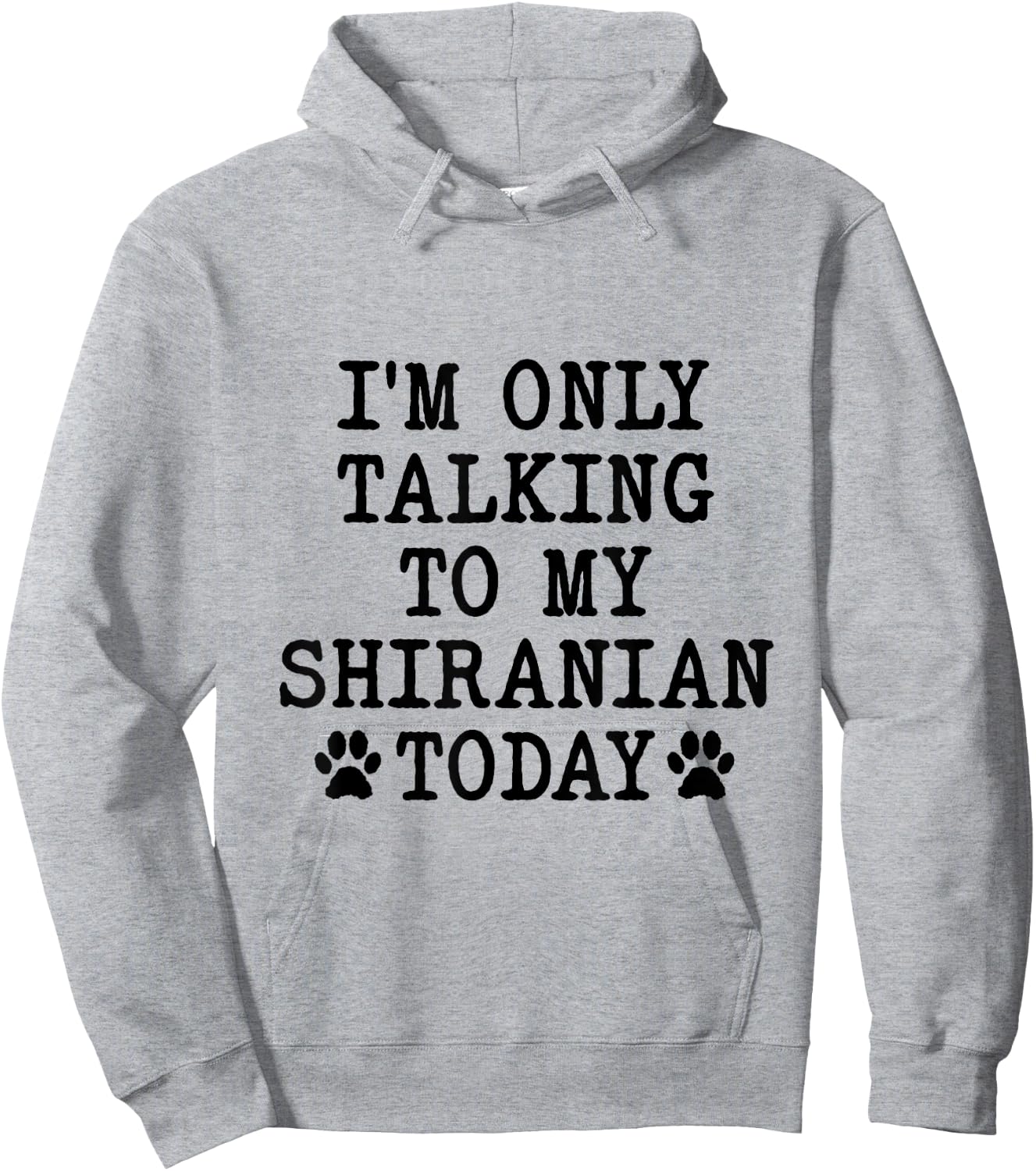 I'm Only Talking To My Shiranian Today Pomshi Shih A Pom Hoodie - Hoodie | Ash