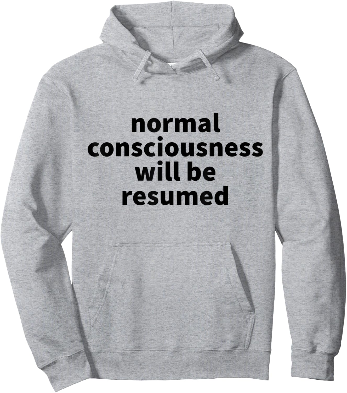 Normal Consciousness Will Be Resumed Hoodie - Hoodie | Ash