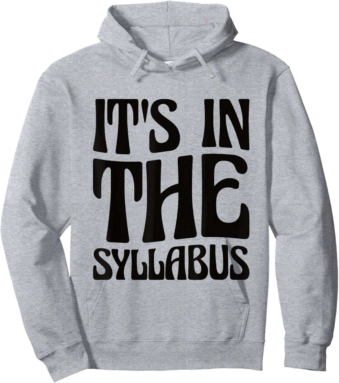 Elementary Teacher It's In The Syllabus Hoodie - Hoodie | Ash