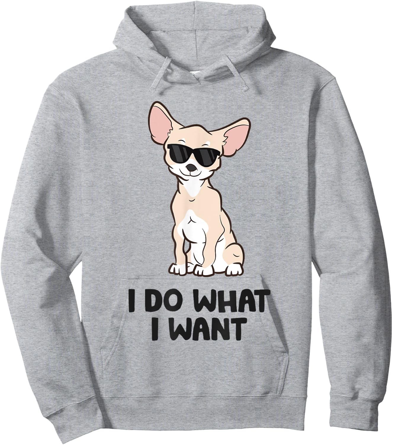 Chihuahua Dog I Do What I Want Funny Chihuahua Men Women Kids Hoodie - Hoodie | Ash