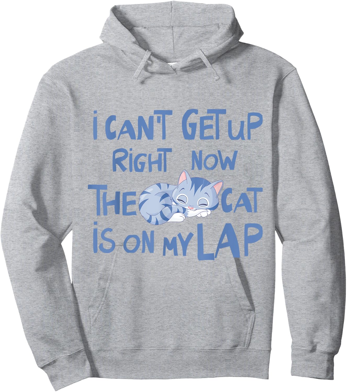 I Can't Get Up Right Now The Cat Is On My Lap Men Women Hoodie - Hoodie | Ash